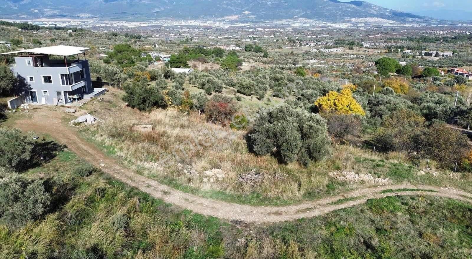 Aynı Bölgede 1 Villa Parasının Yarısına Hem Villa Hem Bahçe !!! - Görsel 4