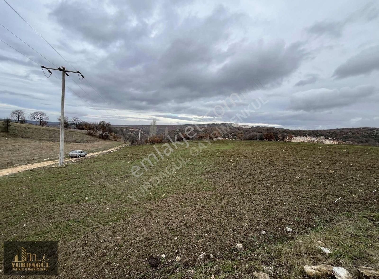 Odunpazarı Ayvacık Satılık Tarla Ayvacık'da Satılık 10 Dönüm Yol Üstü Tarla