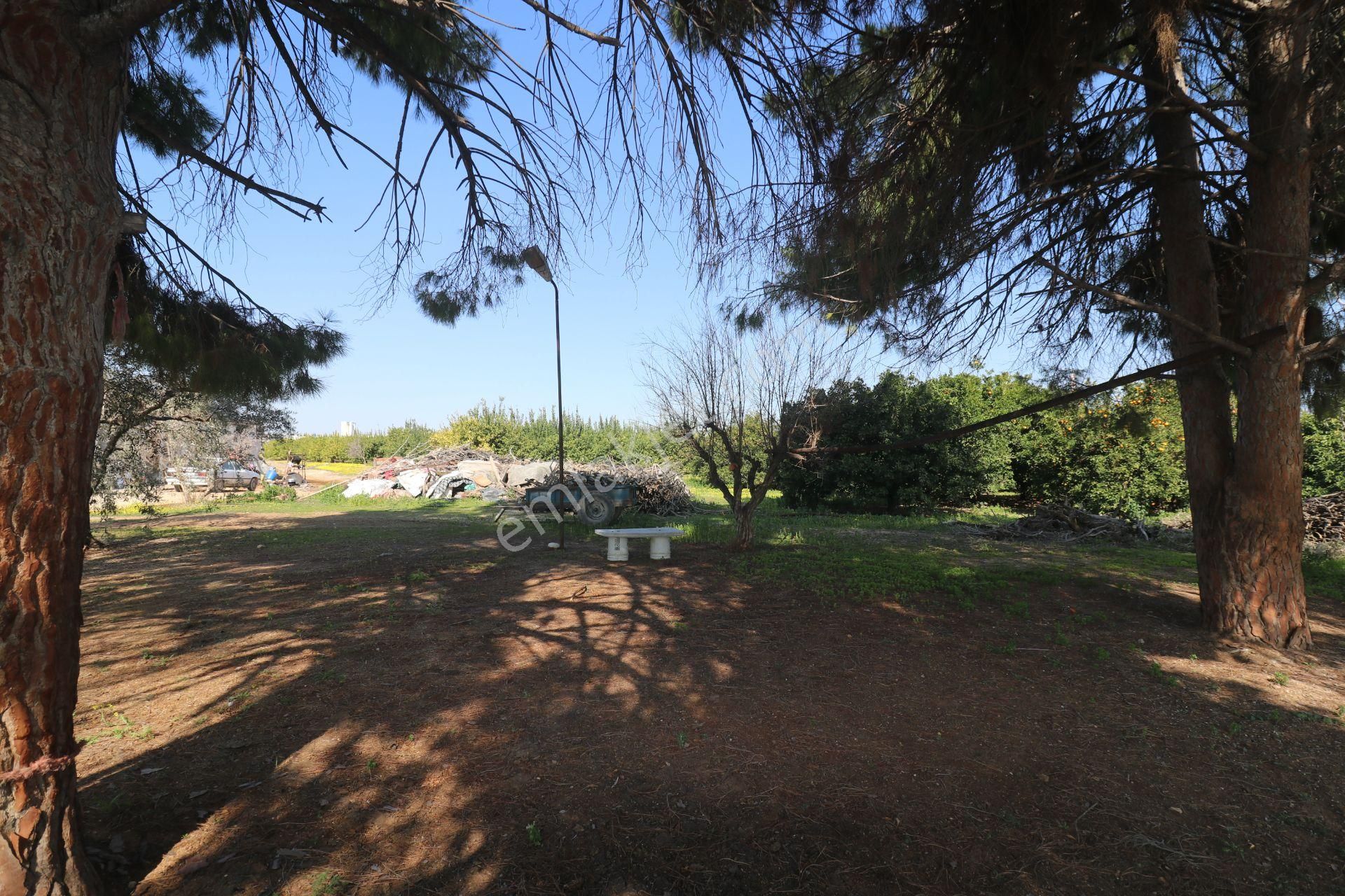 Mersin-akdeniz-evci Tarsus 1. Osb Sınır Satılık 4 Parsel Bahçe - Görsel 27