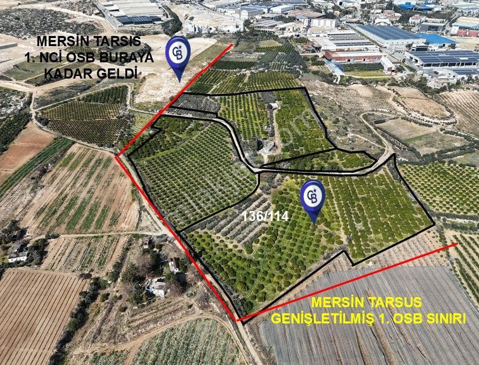 Mersin-akdeniz-evci Tarsus 1. Osb Sınır Satılık 4 Parsel Bahçe - Görsel 3