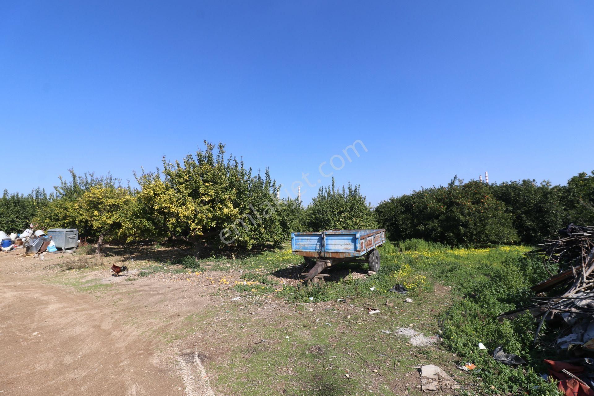 Mersin-akdeniz-evci Tarsus 1. Osb Sınır Satılık 4 Parsel Bahçe - Görsel 28