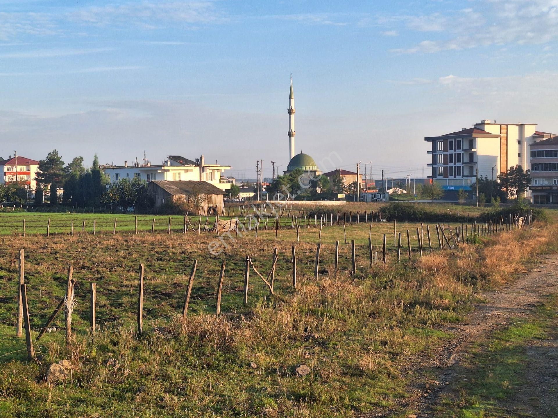 Tekkeköy Çayleyik Satılık Konut İmarlı Rekoor Emlaktan Tekkeköyde Satılık 3 Kata İmarlı Arsa