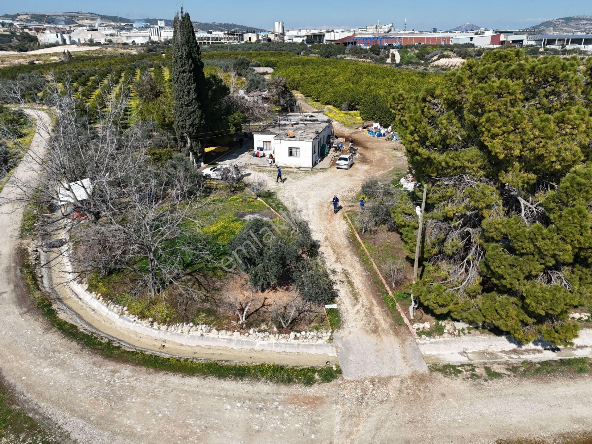 Mersin-akdeniz-evci Tarsus 1. Osb Sınır Satılık 4 Parsel Bahçe - Görsel 26