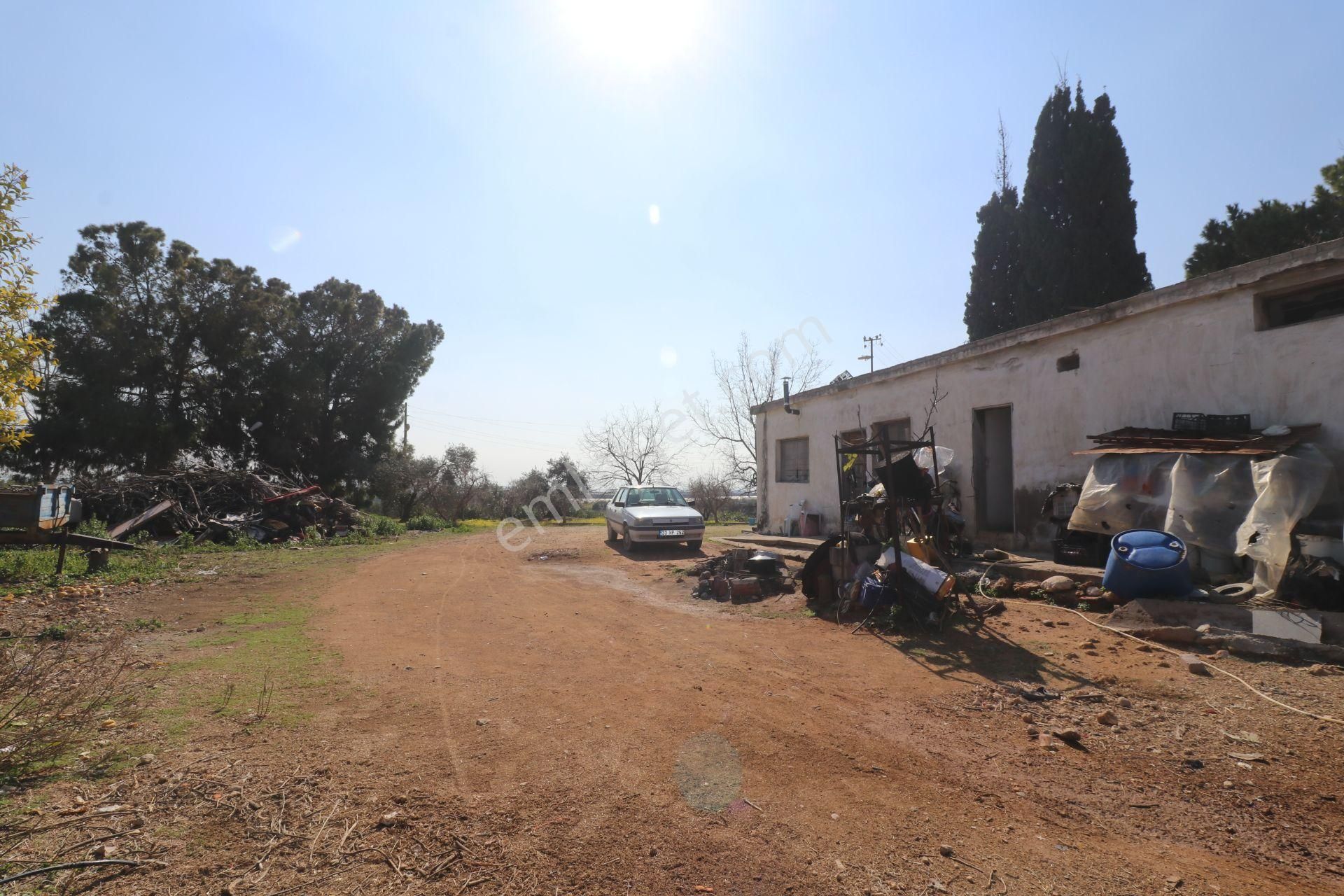 Mersin-akdeniz-evci Tarsus 1. Osb Sınır Satılık 4 Parsel Bahçe - Görsel 19