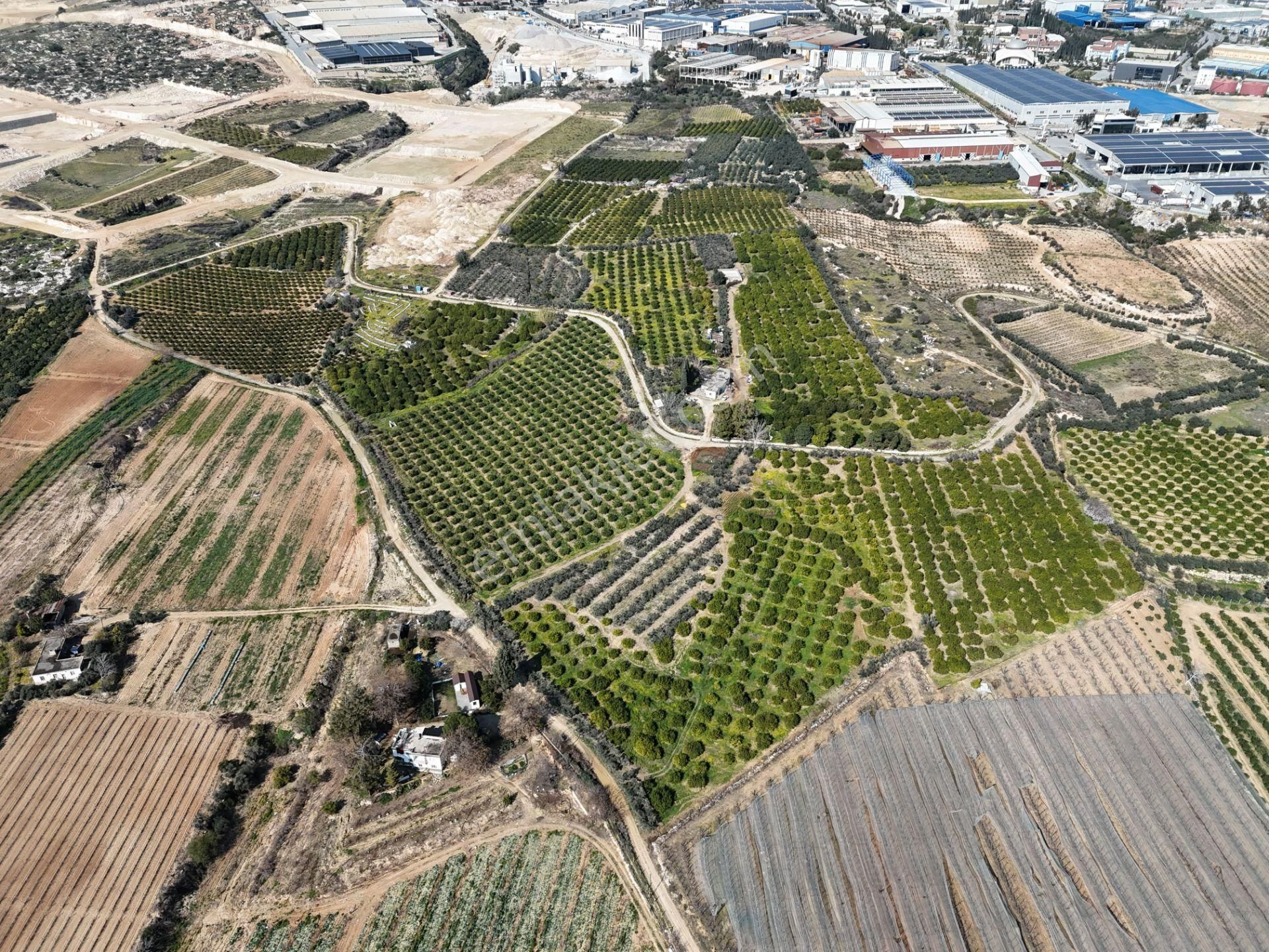 Mersin-akdeniz-evci Tarsus 1. Osb Sınır Satılık 4 Parsel Bahçe - Görsel 33