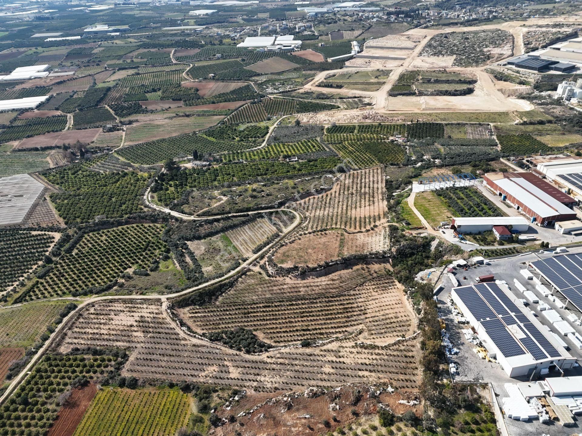 Mersin-akdeniz-evci Tarsus 1. Osb Sınır Satılık 4 Parsel Bahçe - Görsel 31