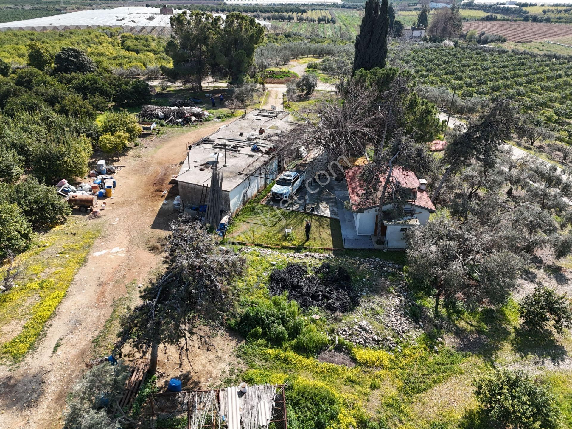 Mersin-akdeniz-evci Tarsus 1. Osb Sınır Satılık 4 Parsel Bahçe - Görsel 7