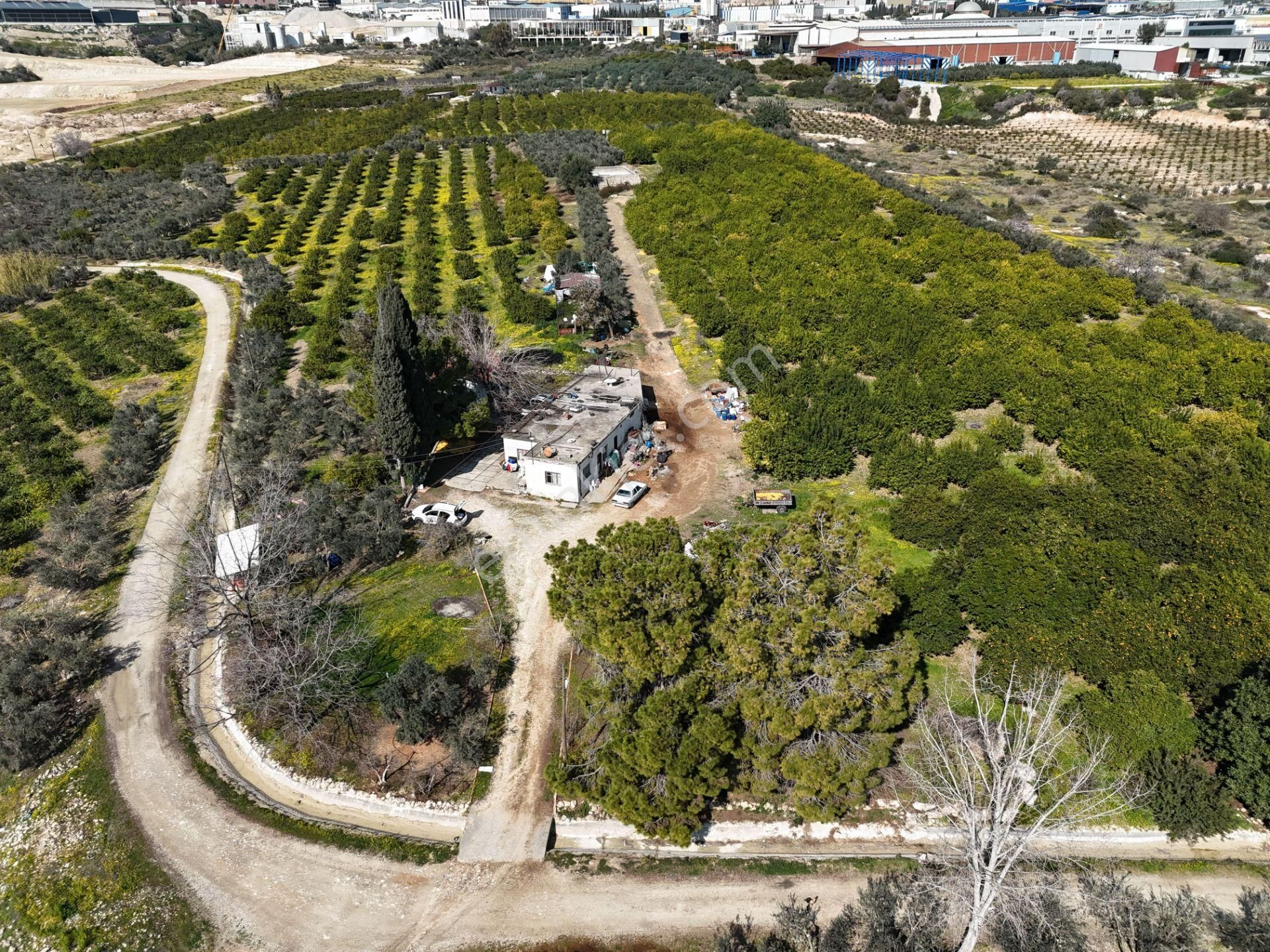 Mersin-akdeniz-evci Tarsus 1. Osb Sınır Satılık 4 Parsel Bahçe - Görsel 8