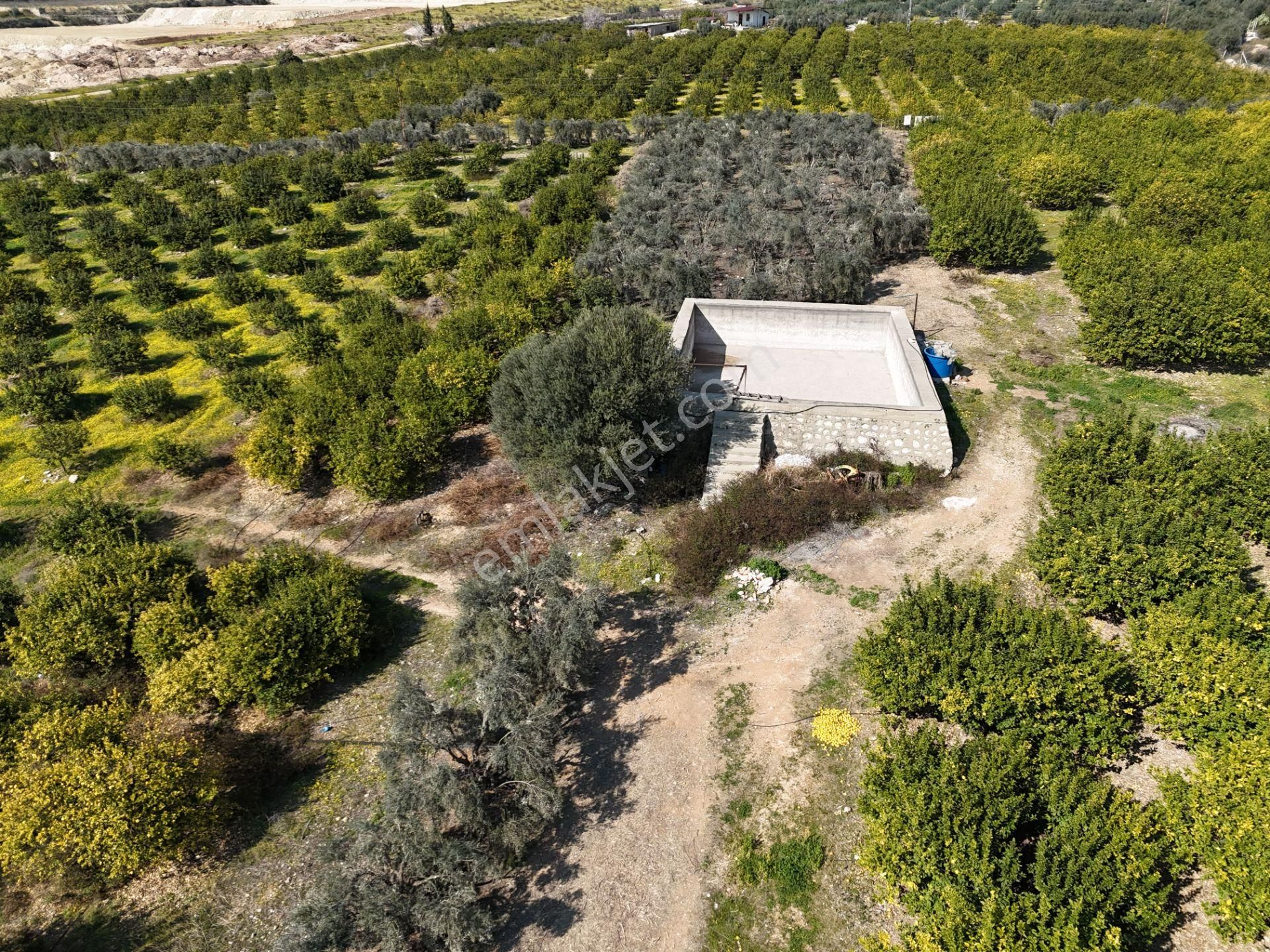 Mersin-akdeniz-evci Tarsus 1. Osb Sınır Satılık 4 Parsel Bahçe - Görsel 33