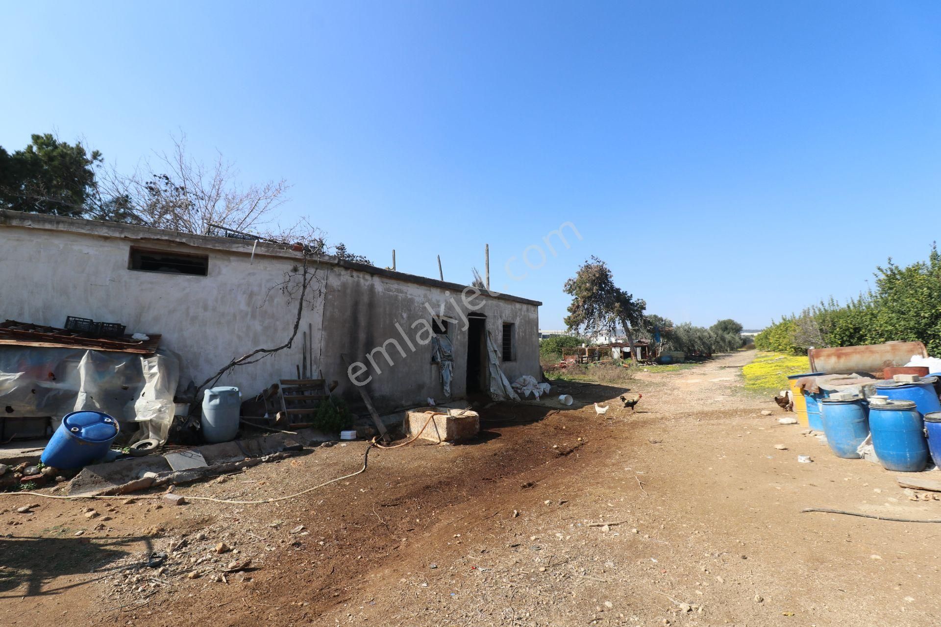 Mersin-akdeniz-evci Tarsus 1. Osb Sınır Satılık 4 Parsel Bahçe - Görsel 22