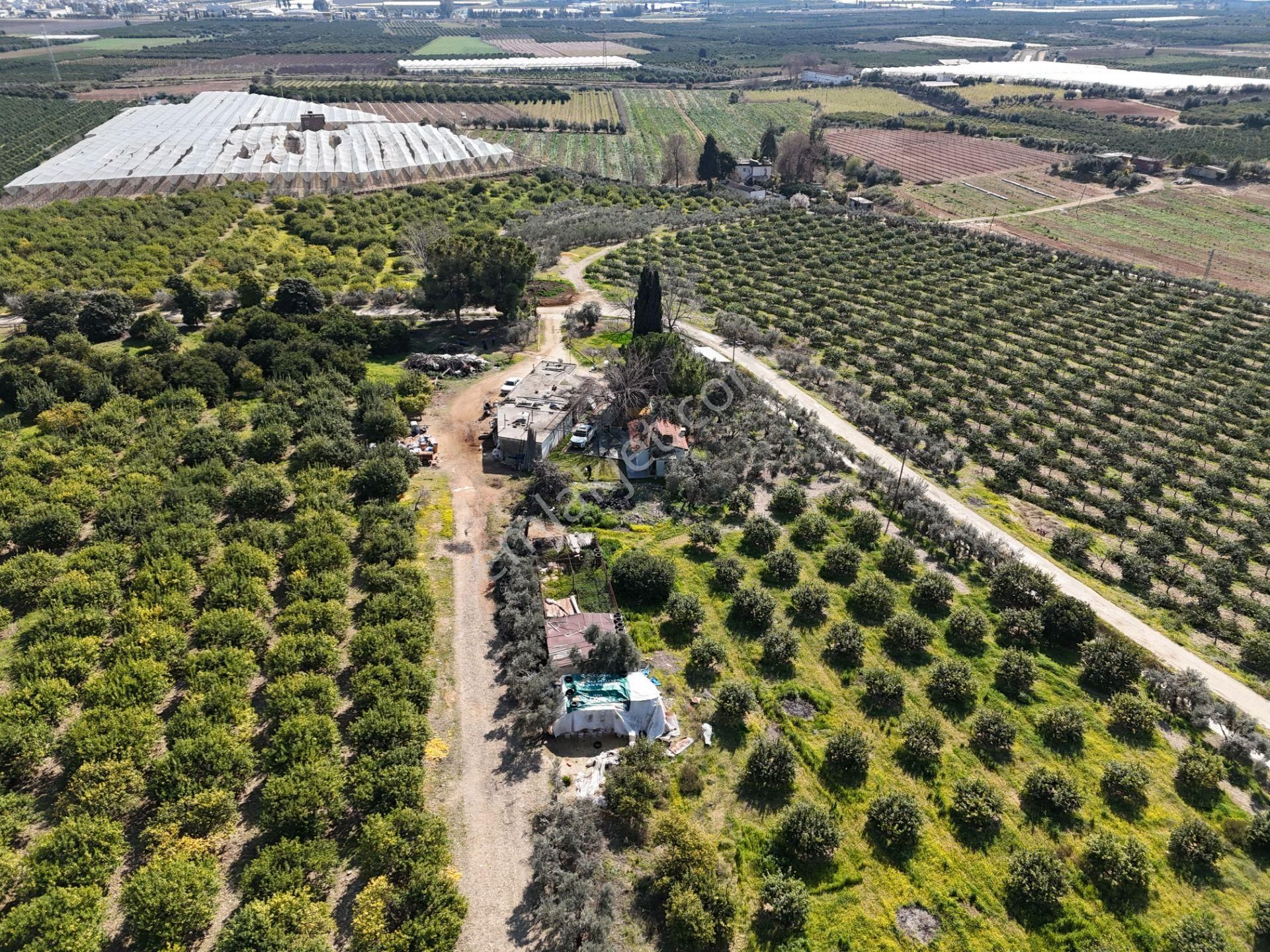 Mersin-akdeniz-evci Tarsus 1. Osb Sınır Satılık 4 Parsel Bahçe - Görsel 32