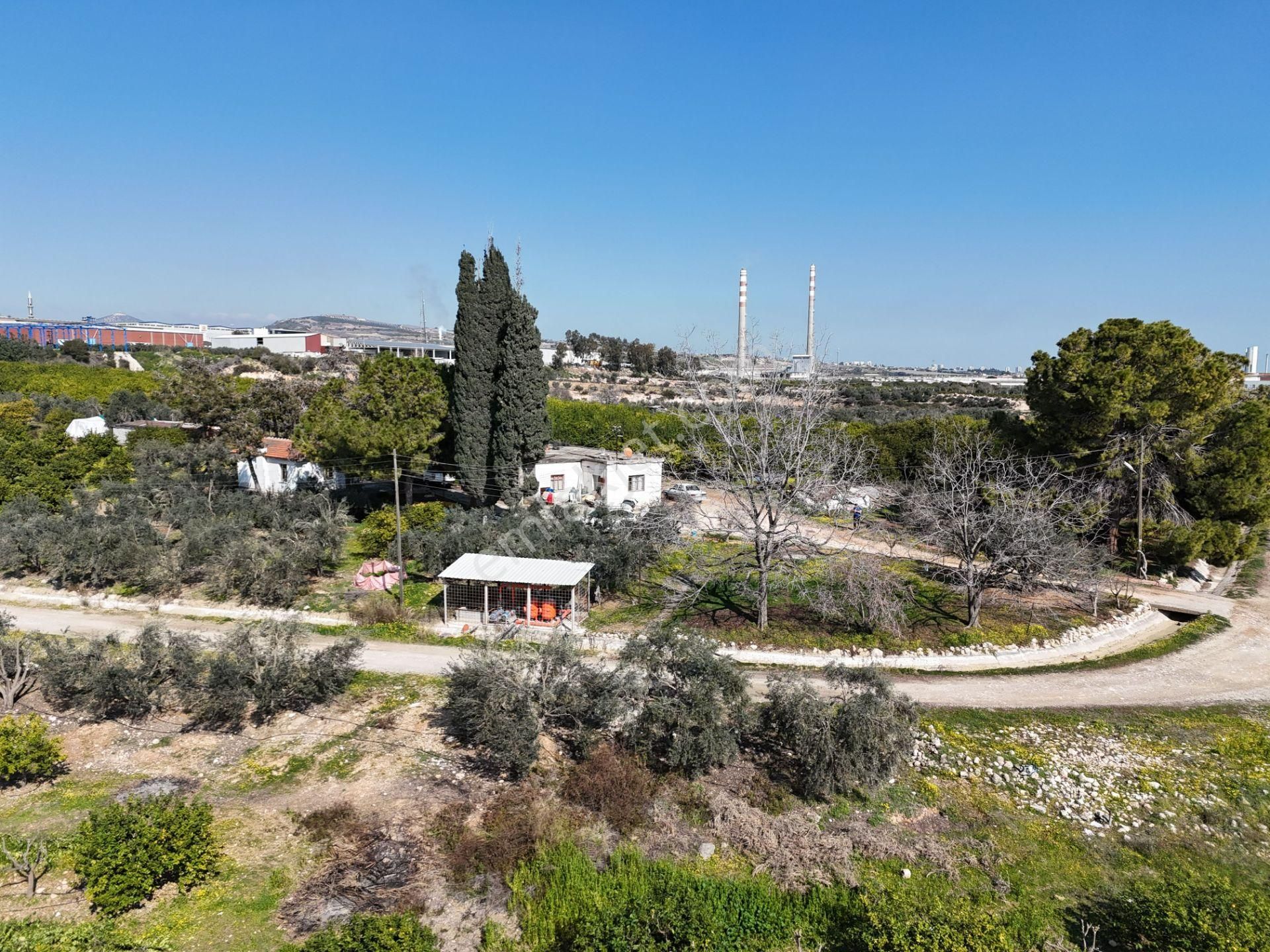 Mersin-akdeniz-evci Tarsus 1. Osb Sınır Satılık 4 Parsel Bahçe - Görsel 25