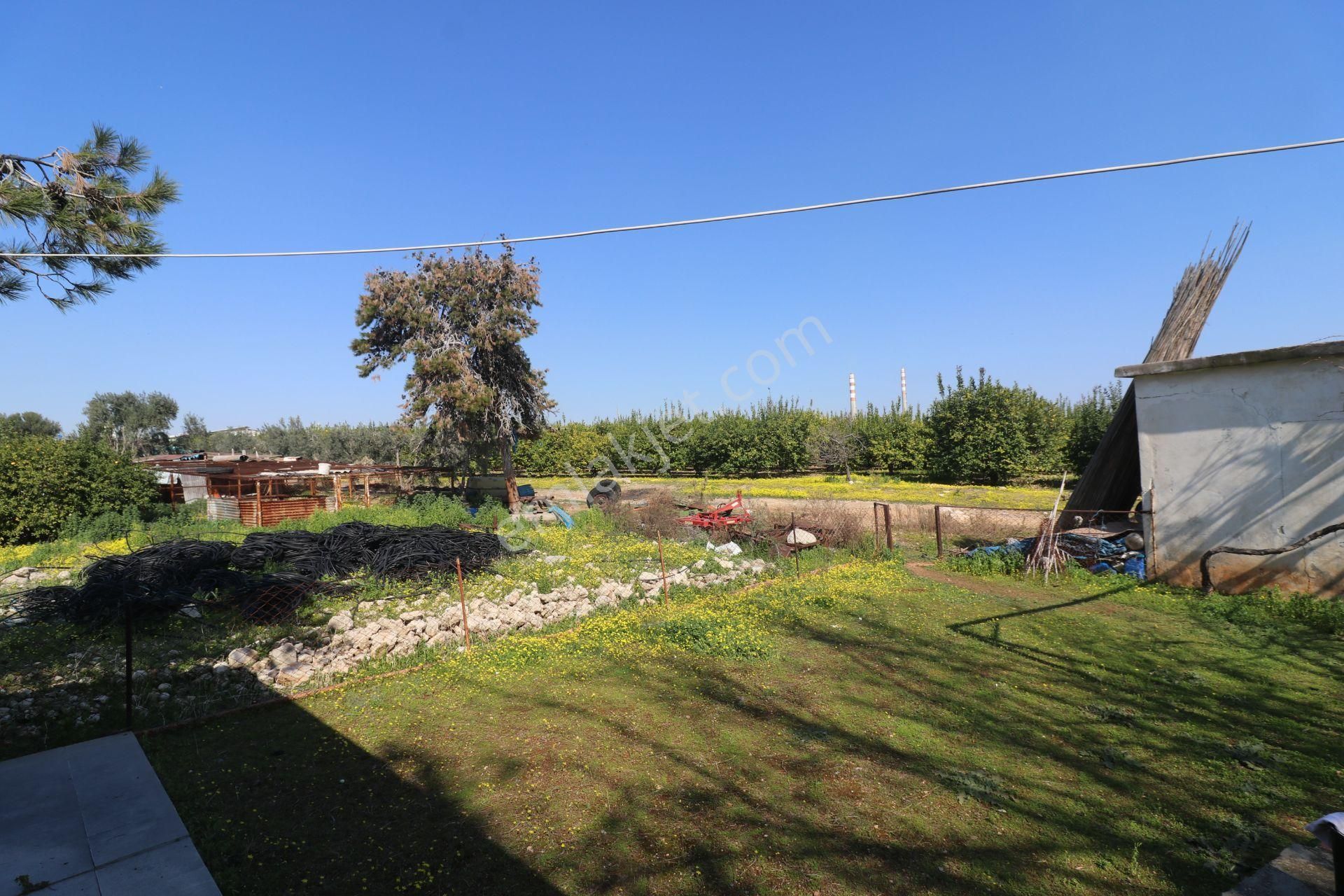 Mersin-akdeniz-evci Tarsus 1. Osb Sınır Satılık 4 Parsel Bahçe - Görsel 16