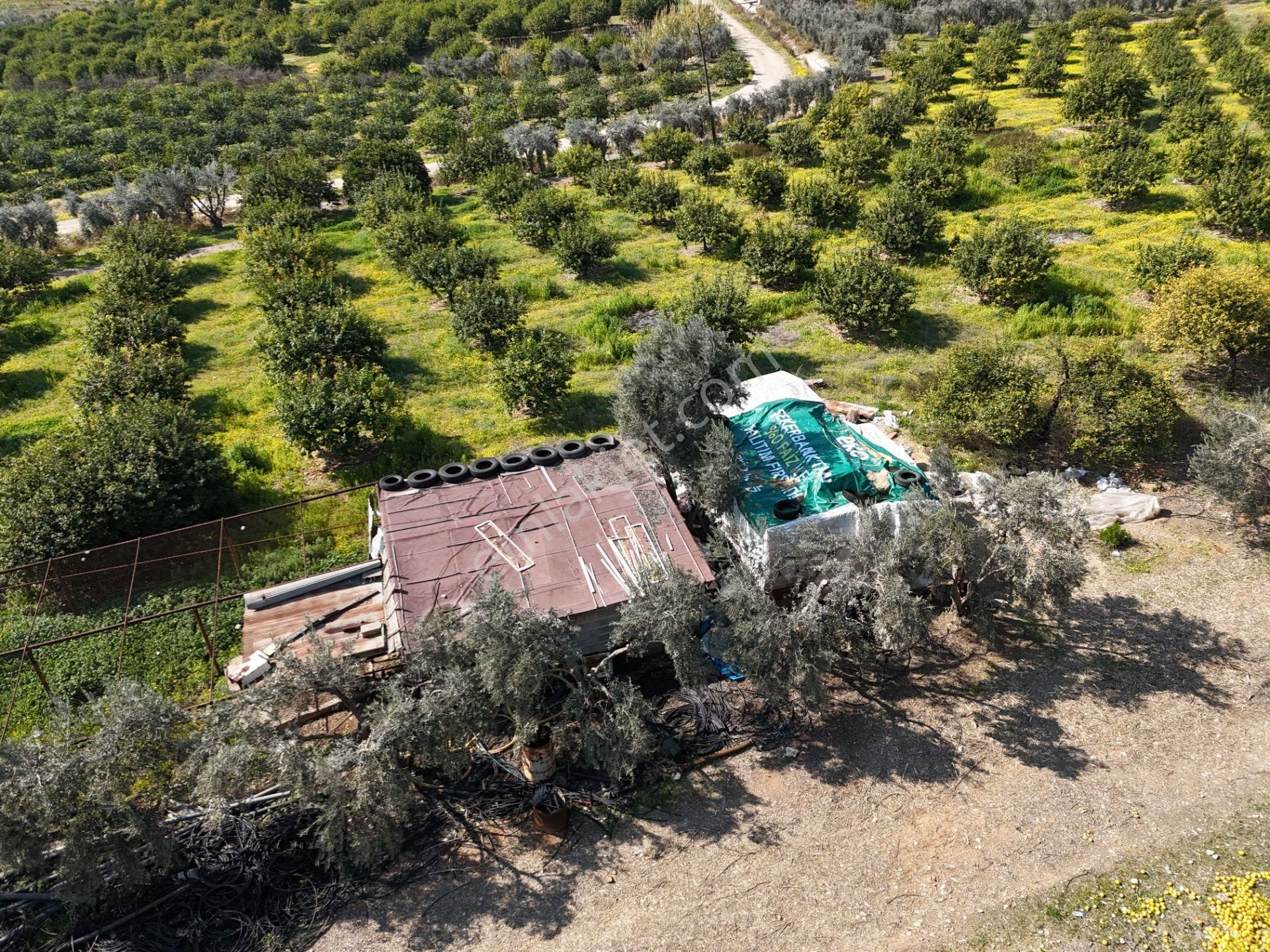 Mersin-akdeniz-evci Tarsus 1. Osb Sınır Satılık 4 Parsel Bahçe - Görsel 28