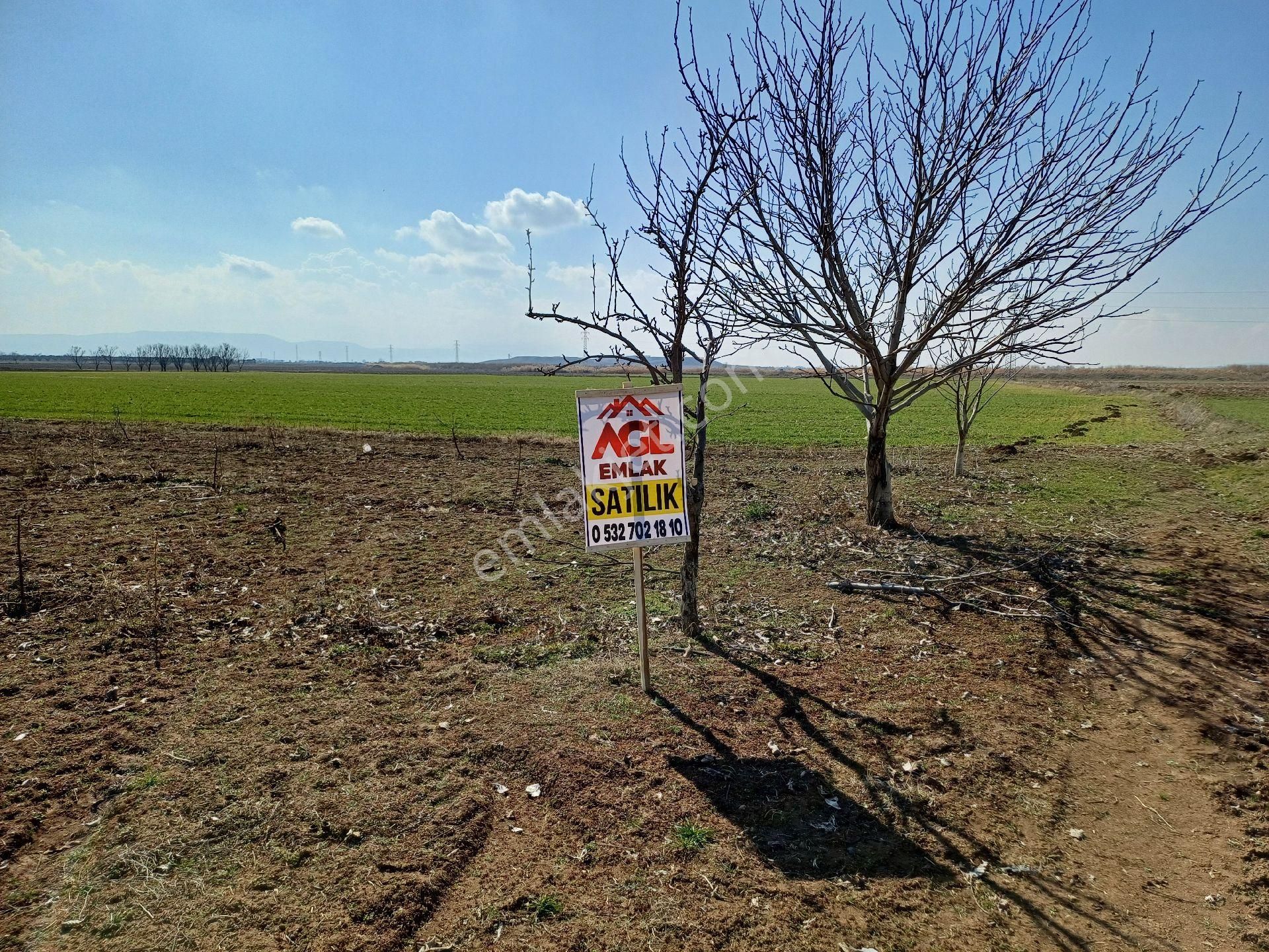 Çivril Menteş Satılık Tarla Çivril Menteş Mah.5032metre Şeftali (dhenry)bahçesi