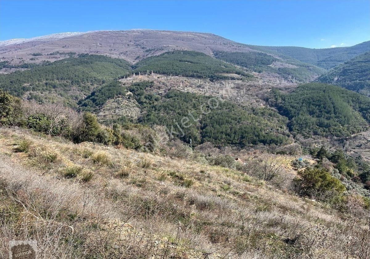 İzmir Bayındır Yaylasında Satılık Bahçe - Görsel 3