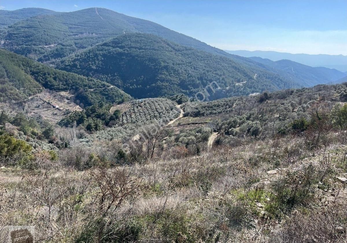 İzmir Bayındır Yaylasında Satılık Bahçe - Görsel 5