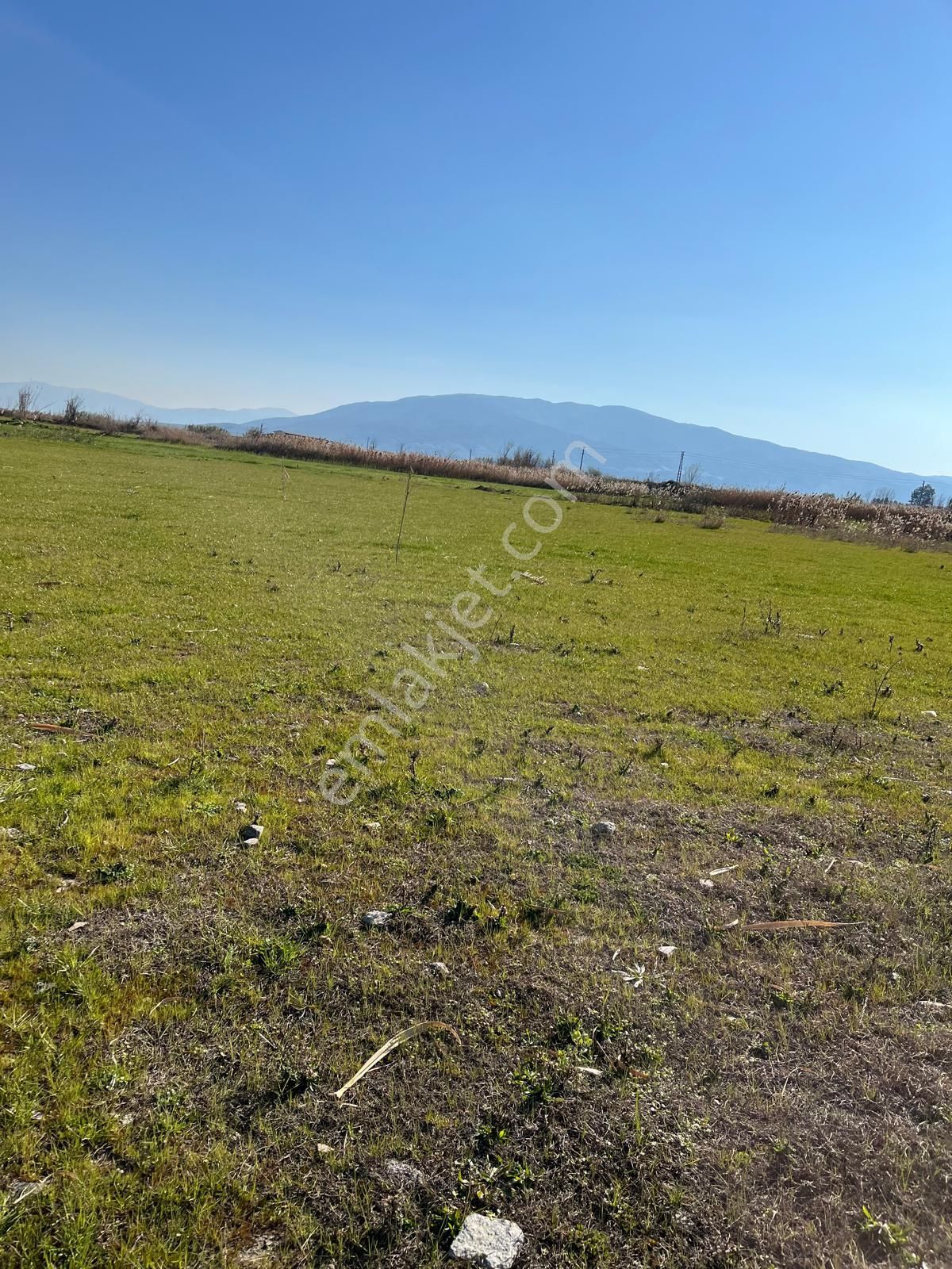 Nazilli İsabeyli Satılık Tarla İsabeyli'de Satılık 9 Dönüm Düz Tarla