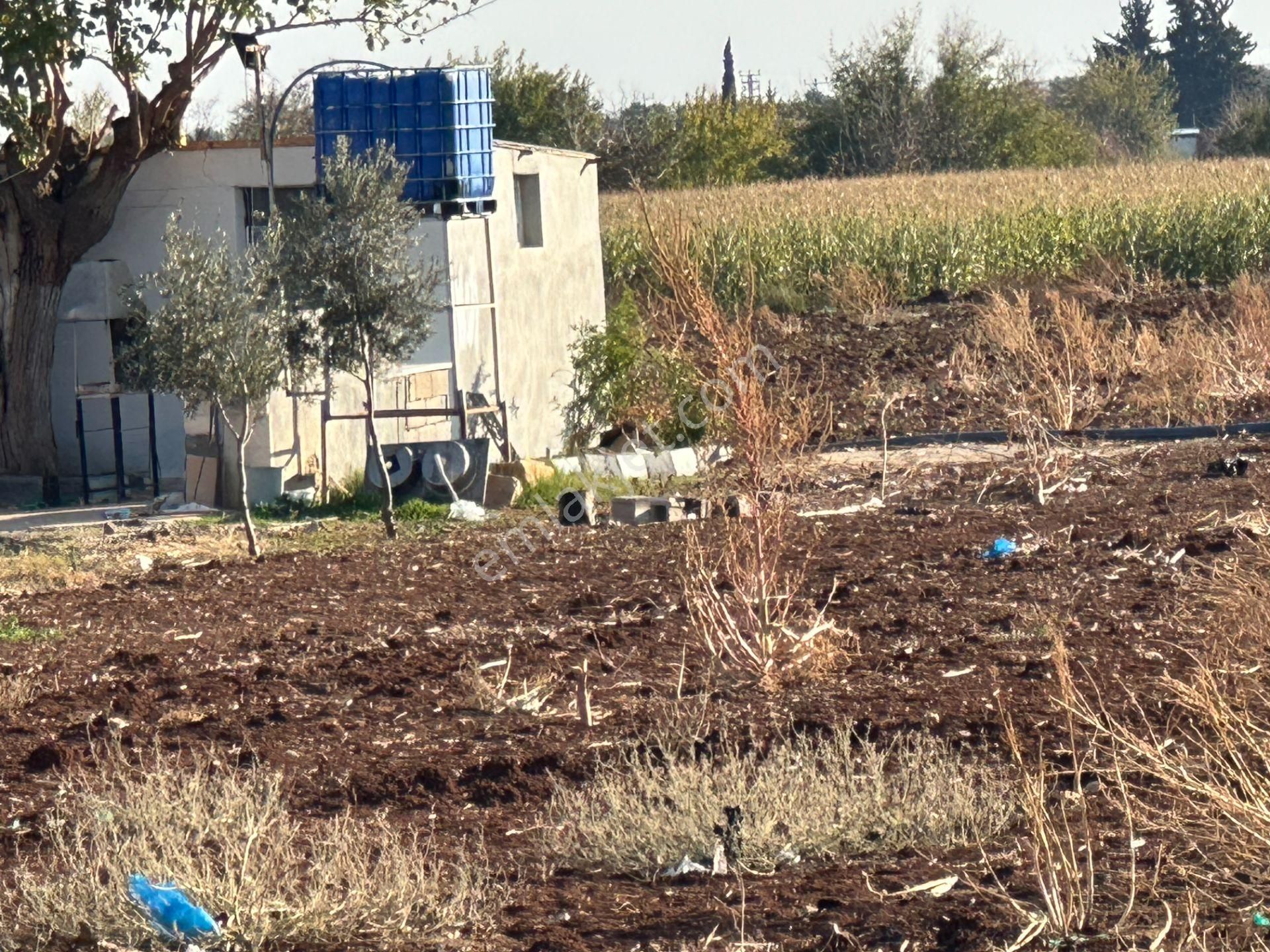 Uyaran79 Gayrimenkul Yatırımlık Merkezi Yerde Hazır Çiftlik Yeri - Görsel 19