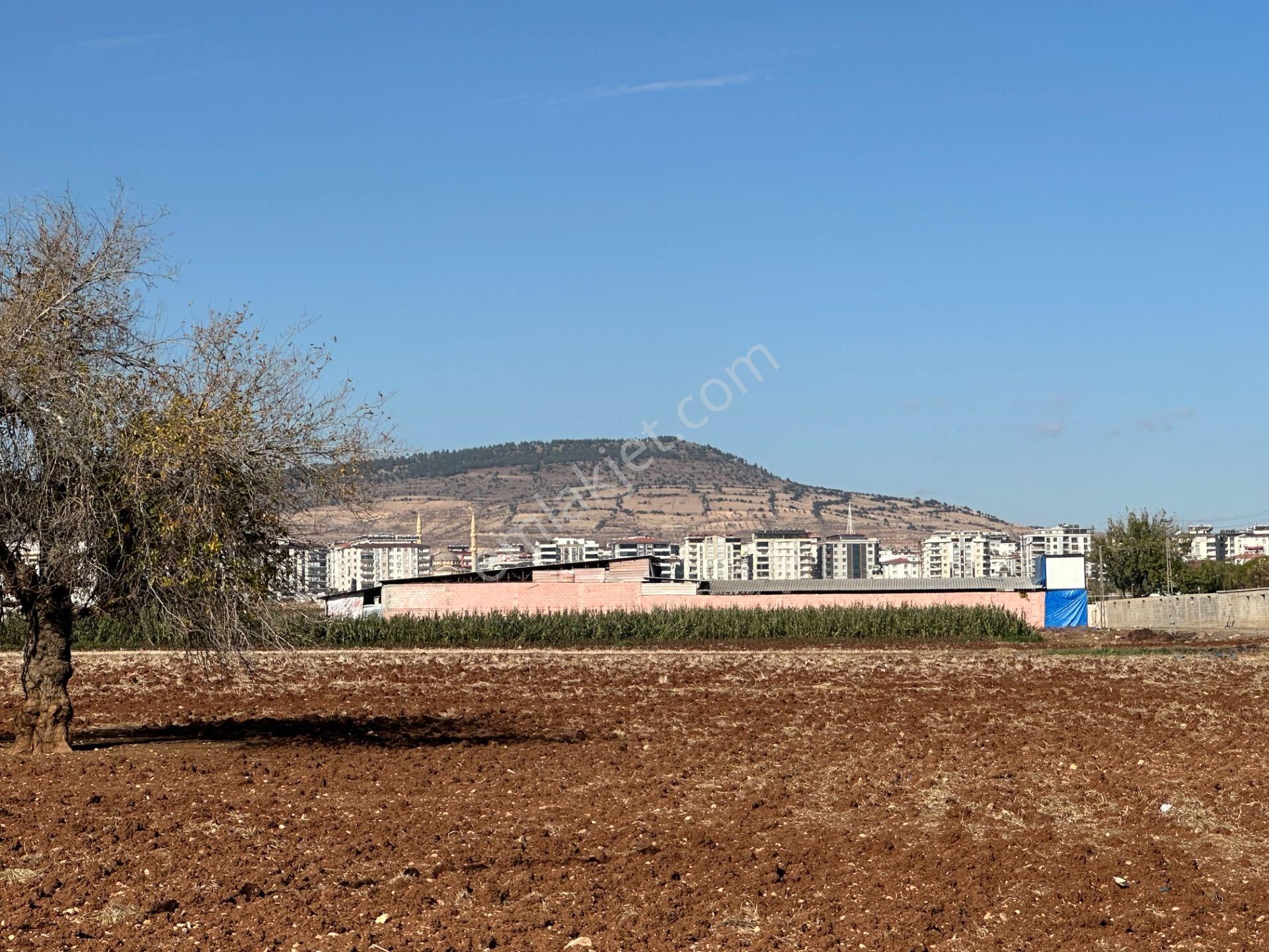 Uyaran79 Gayrimenkul Yatırımlık Merkezi Yerde Hazır Çiftlik Yeri - Görsel 8