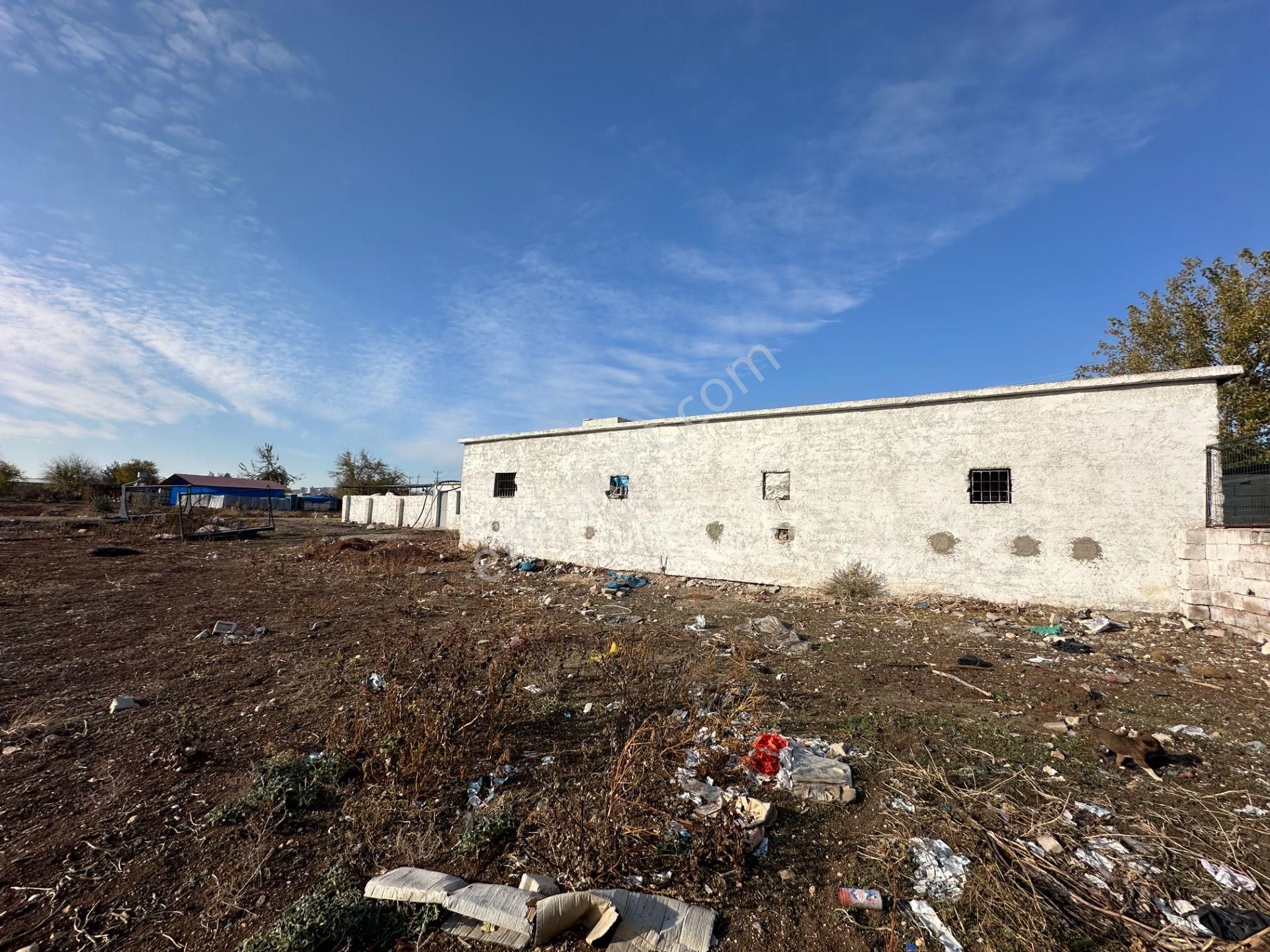 Uyaran79 Gayrimenkul Yatırımlık Merkezi Yerde Hazır Çiftlik Yeri - Görsel 11