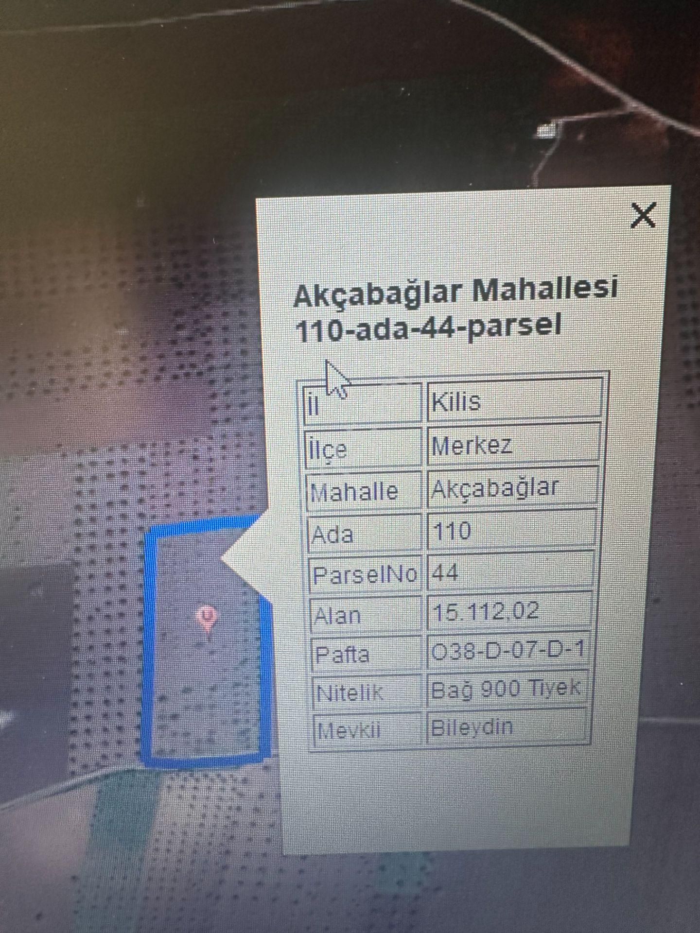 Uyaran79 Gayrimenkulden Fıstıklık Ve Zeytinlik - Görsel 5