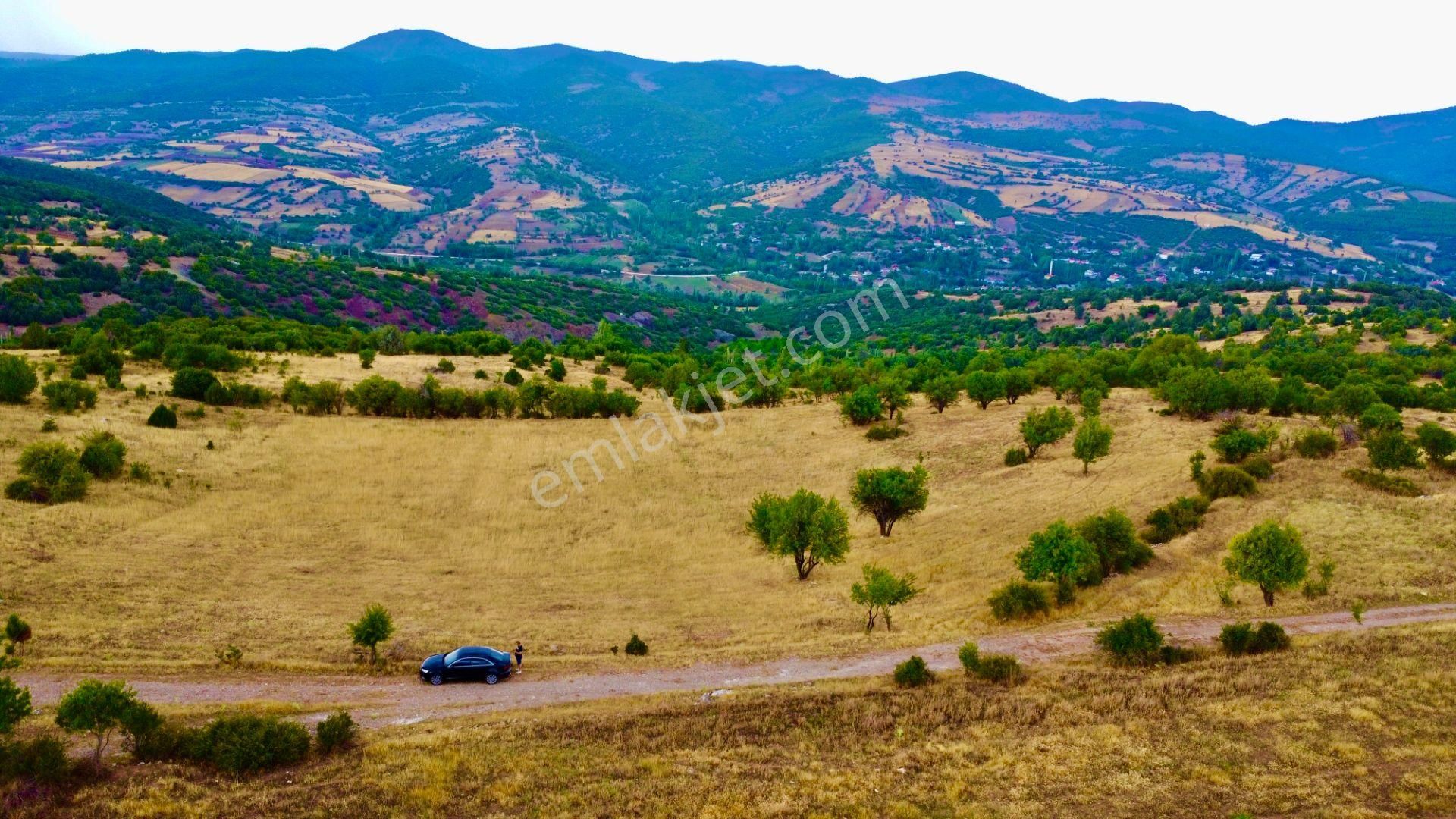 Burdur Merkez Kavacık Köyü Satılık Tarla Gama Gayrimenkul'den Muhteşem Bir Tarla (yatırım Tavsiyedir)