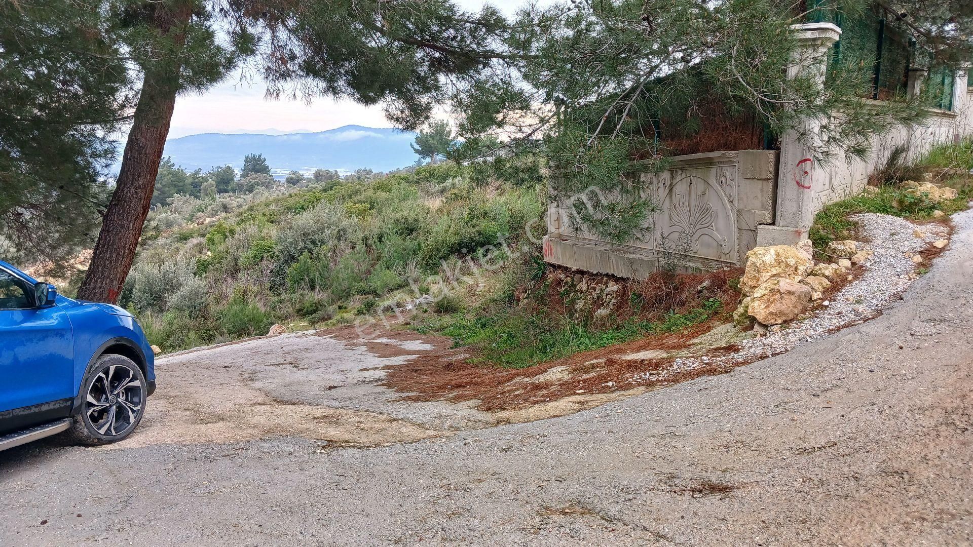 Torbalı Çapak Köyünde Satılık Zeytinlik - Görsel 12