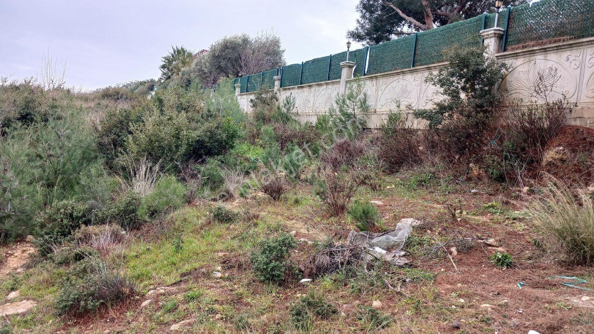 Torbalı Çapak Köyünde Satılık Zeytinlik - Görsel 16