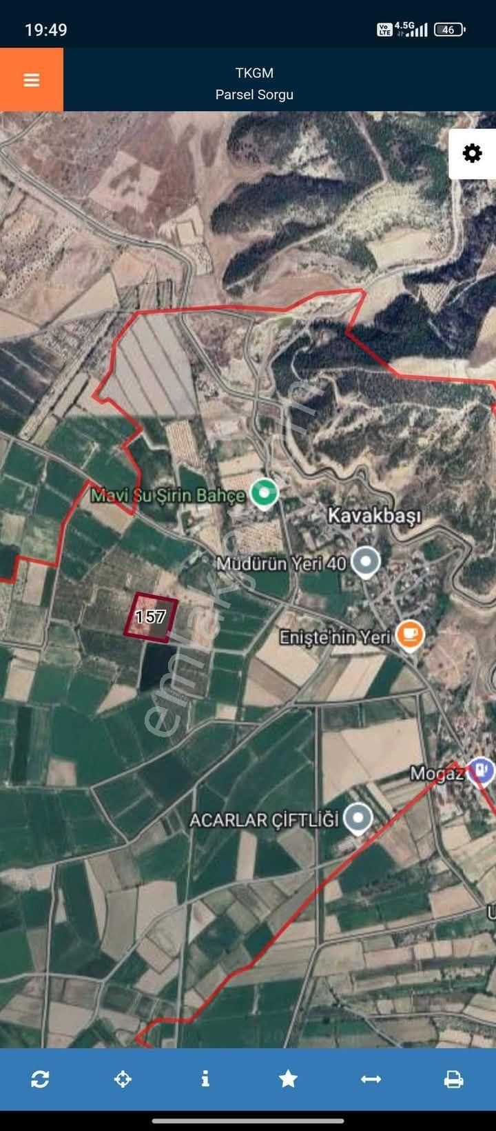 Pamukkale Kavakbaşı Satılık Bağ & Bahçe Denizli Pamukkale Kavakbasi 15 Dönüm Zeytin Bahçemiz Satılıktır