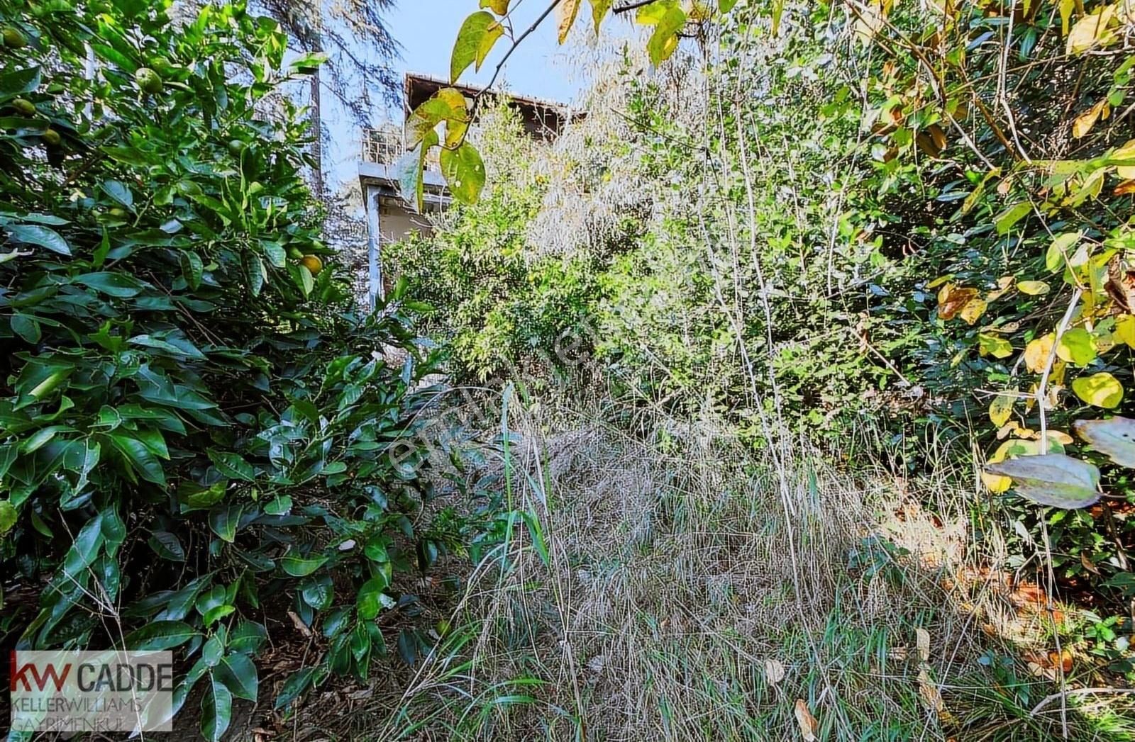 Kw Sinan'dan Beylerbeyin De 2.450 M2 Bahçe Kullanımlı Köşk - Görsel 10