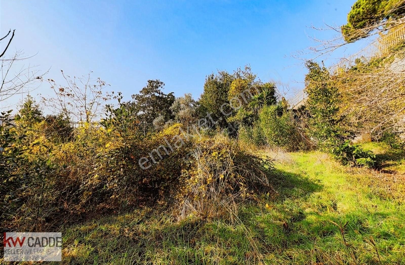 Kw Sinan'dan Beylerbeyin De 2.450 M2 Bahçe Kullanımlı Köşk - Görsel 35