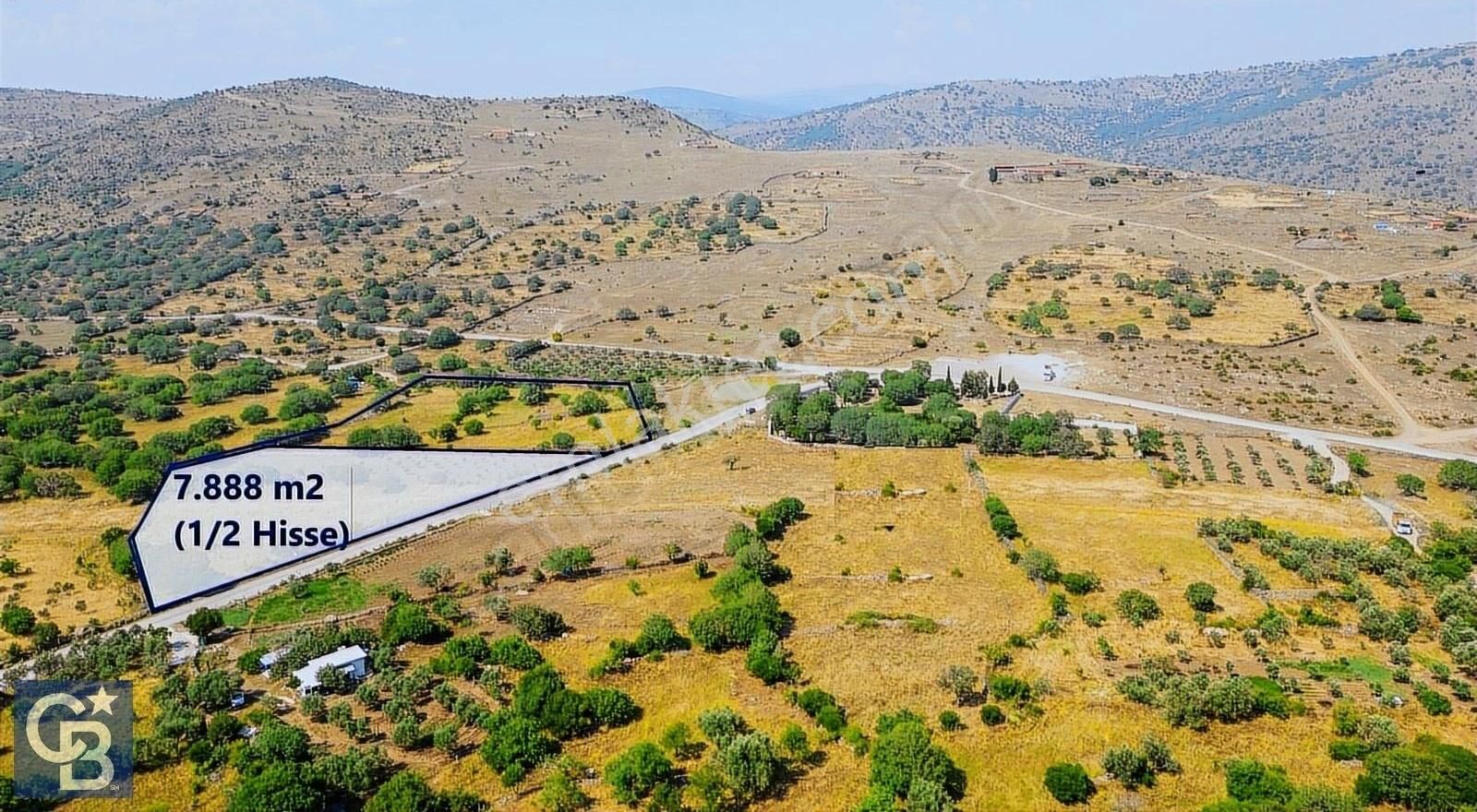 Aliağa Karakuzu Satılık Tarla Karakuzu'da Asfalta Cepheli 70 Zeytin Ağaçlı 7.888 M2 Tarla