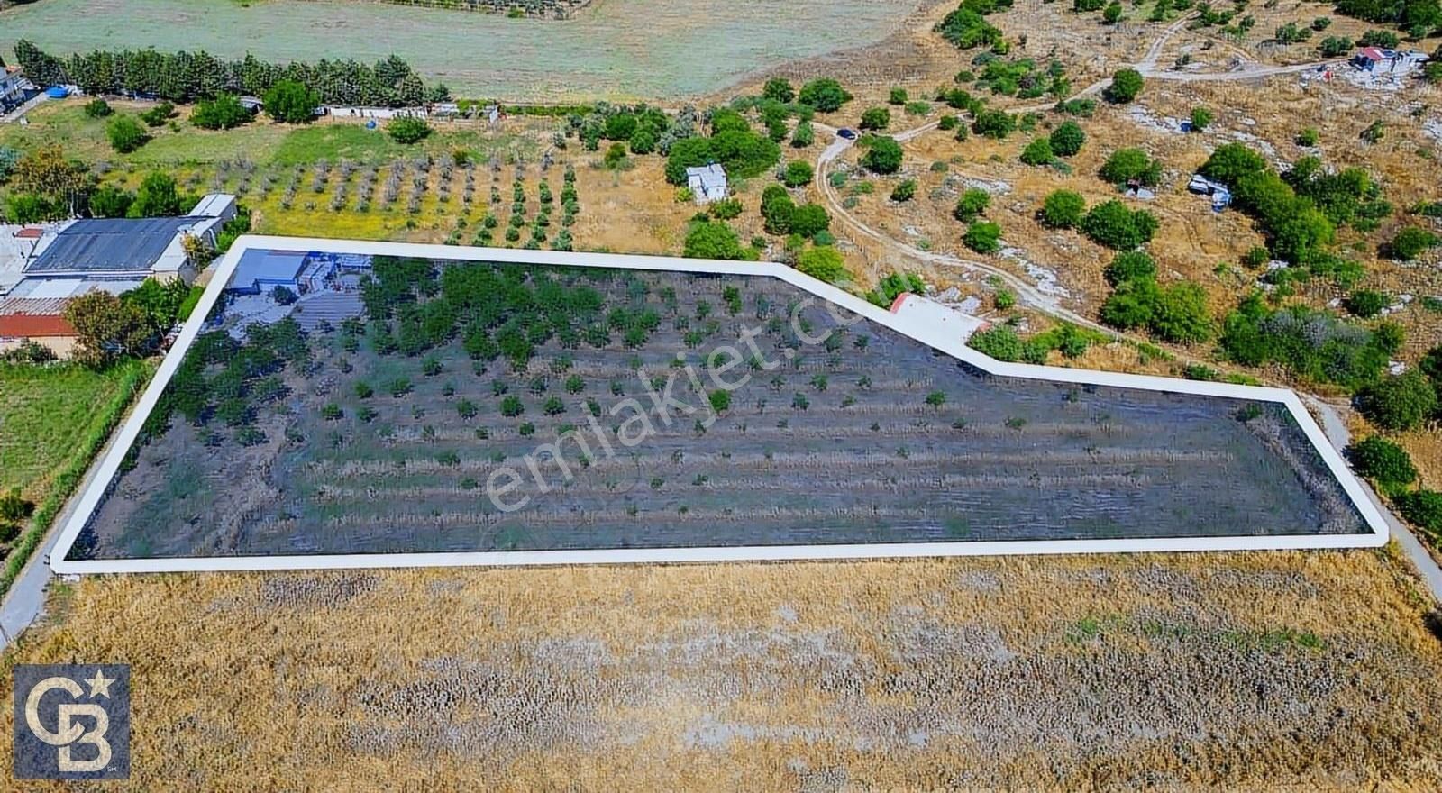 Aliağa Fatih Satılık Tarla Aliağa Helvacı Köyünde Eski Foça Yolu'na 215 Metre Satılık Tarla