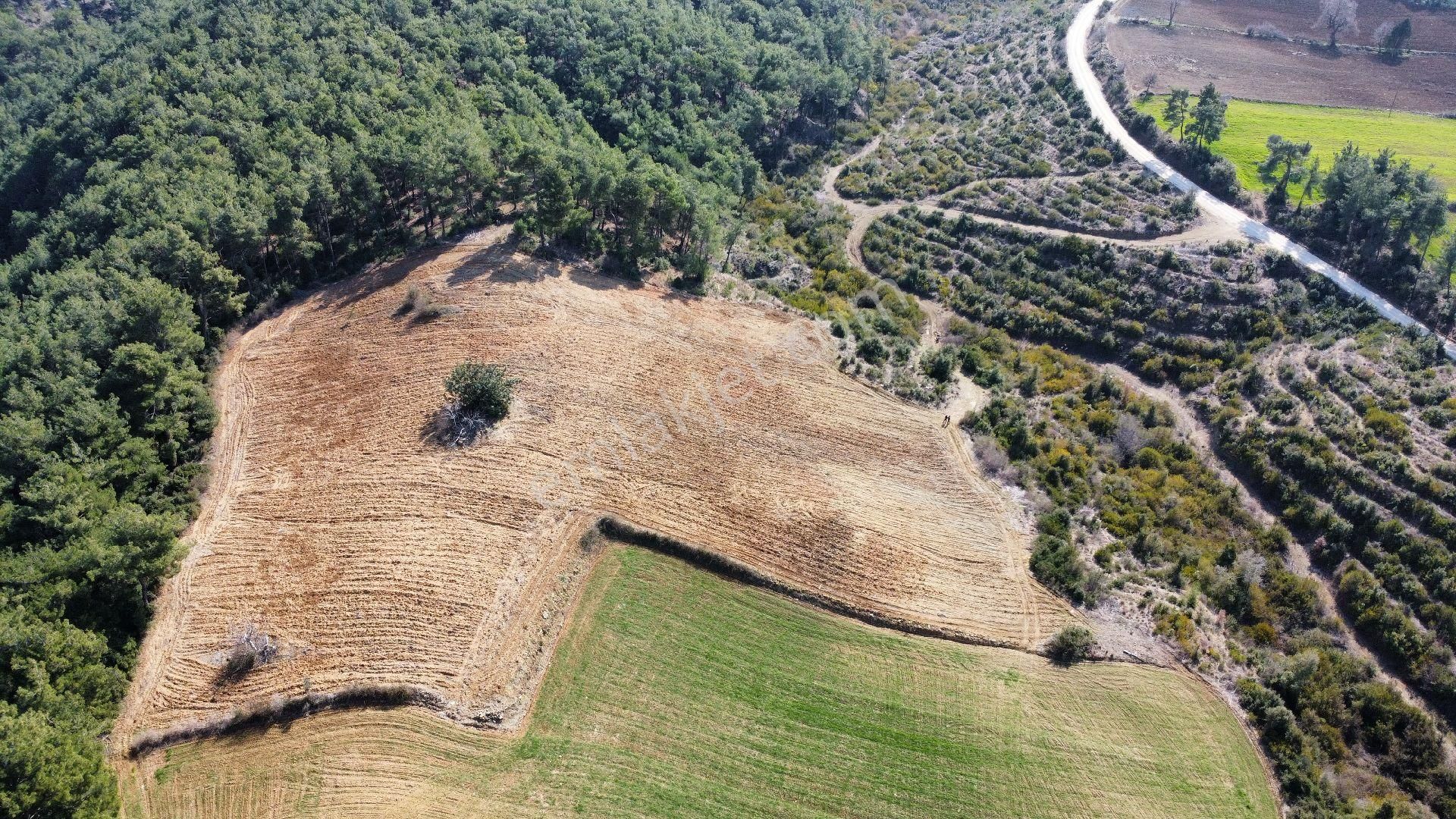 Karaisalı Merkezboztahta Satılık Tarla Adana Karaisalı Merkezboztahta'da 3300m² Tek Tapu Fırsat Tarla