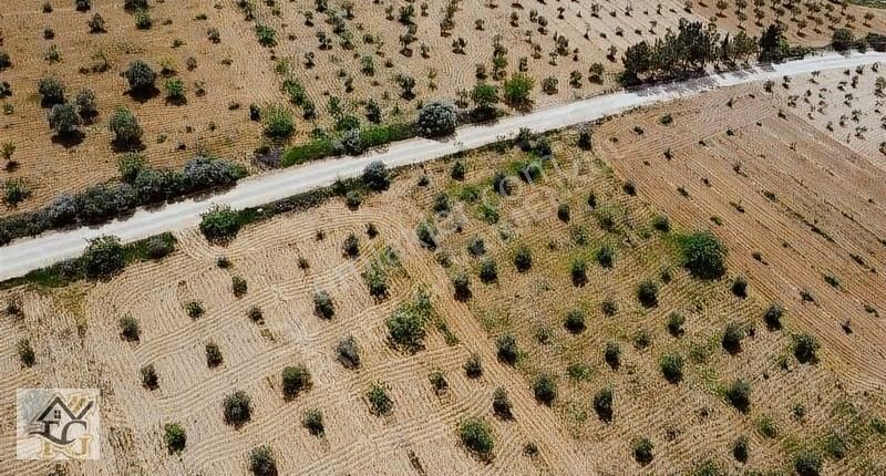 Oğuzeli Bulduk Satılık Bağ & Bahçe Oğuzeli Bulduk Tek Tapu Bağevlik Arazi