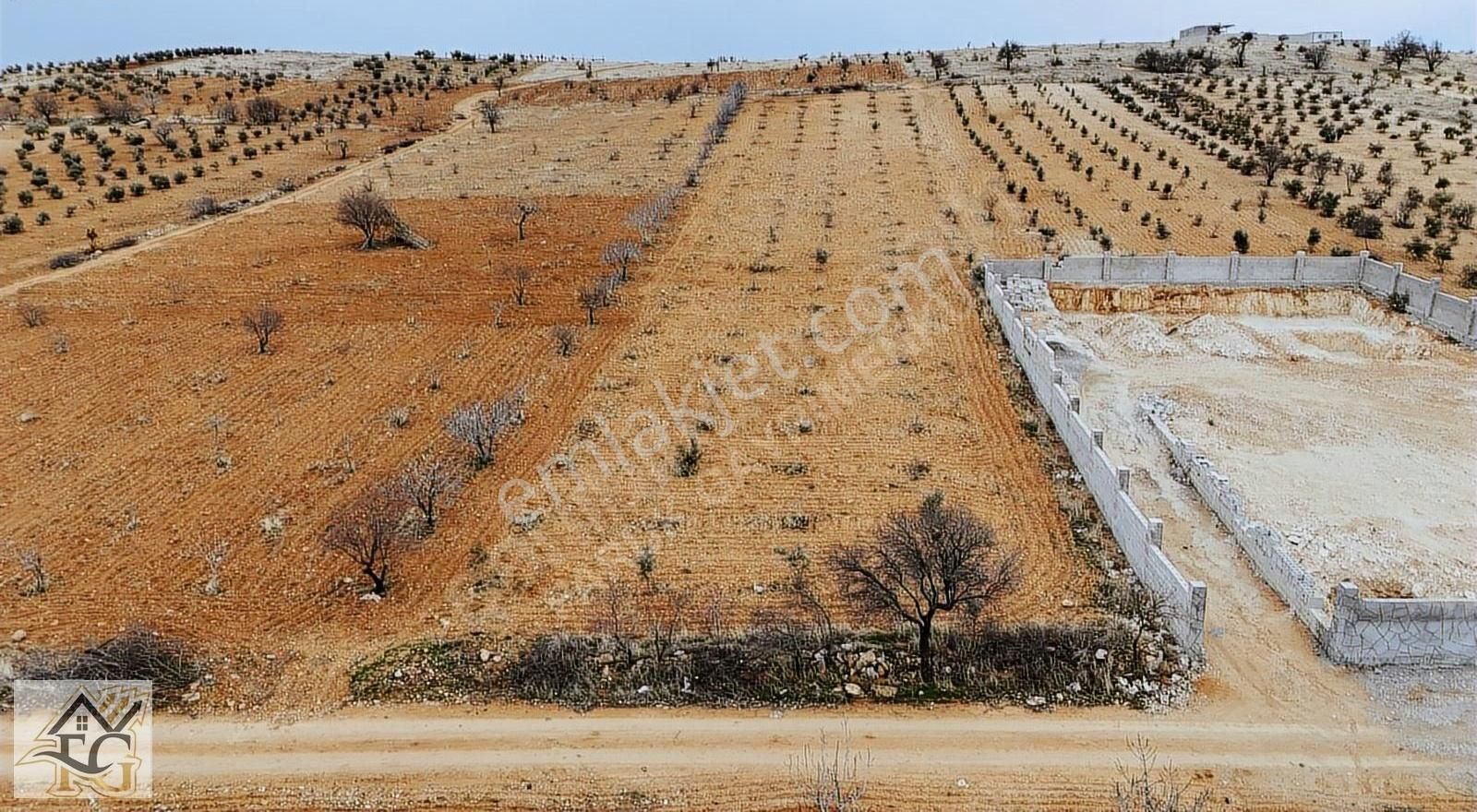 Oğuzeli Gürsu Satılık Bağ & Bahçe Oğuzeli Gürsu Tek Tapu Yatırımlık Arazi 4350 Metre