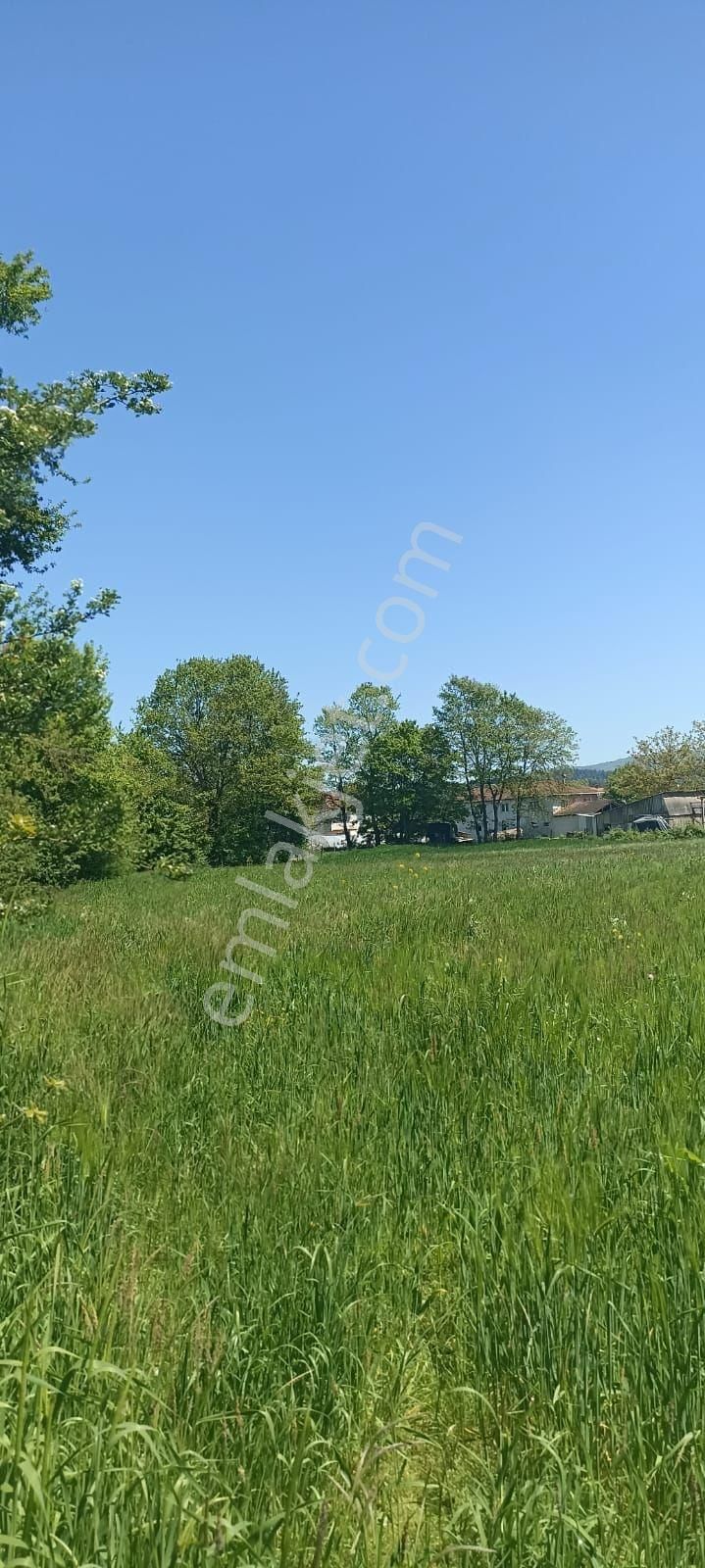 Sahibinden **kupon Arsa** ##düzce(merkez)##