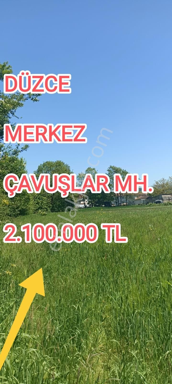 Düzce Merkez Çavuşlar Satılık Konut İmarlı Sahibinden **kupon Arsa** ##düzce(merkez)##