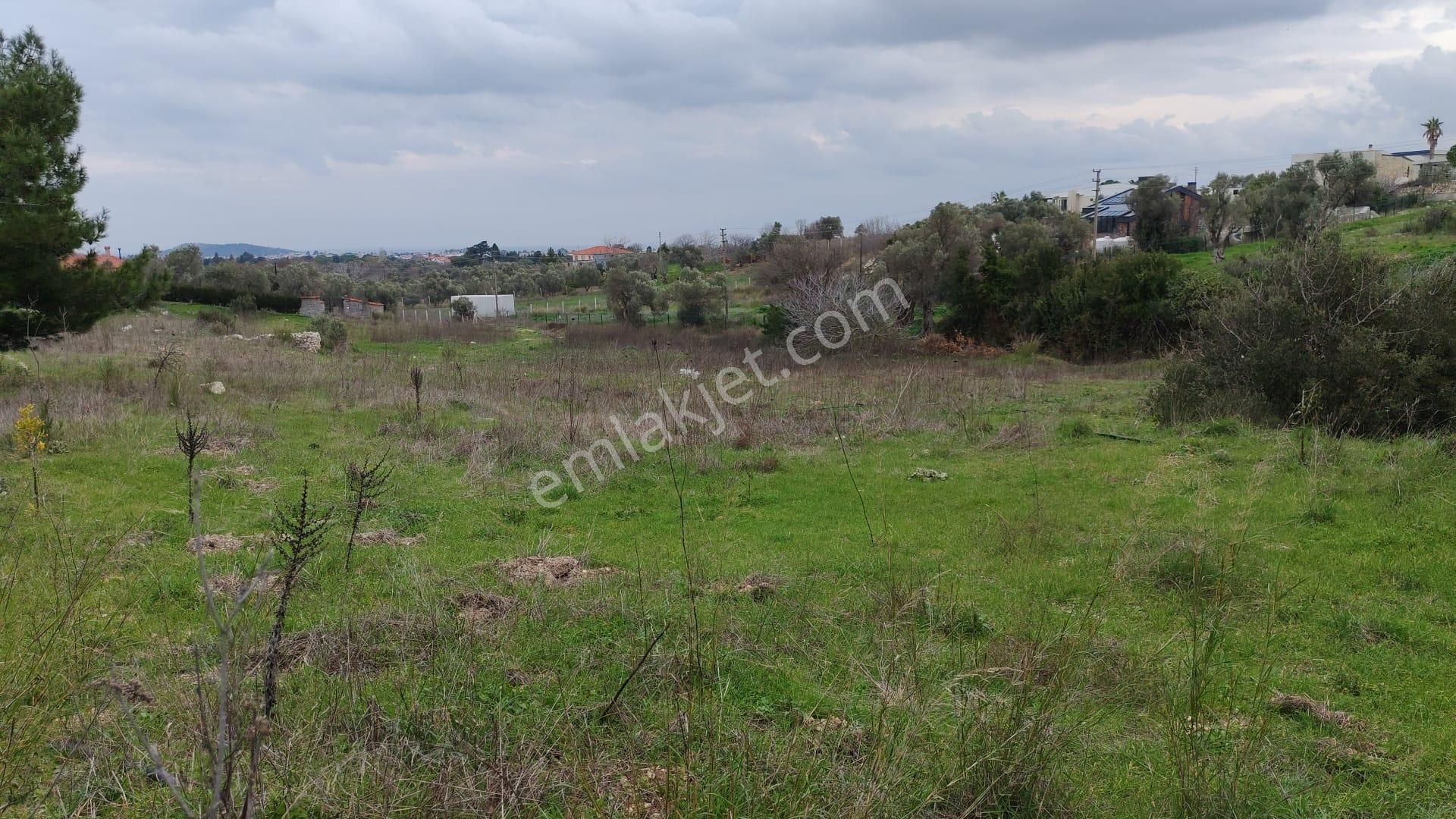 Urla Rüstem Satılık Tarla Satılık Urla Rüstem Mah Deniz Gören Yola Cepheli 200 Metre Tarla