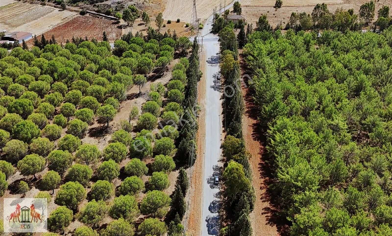 Akyaka Köyceğiz Arası 1705 M² Tarla - Görsel 5