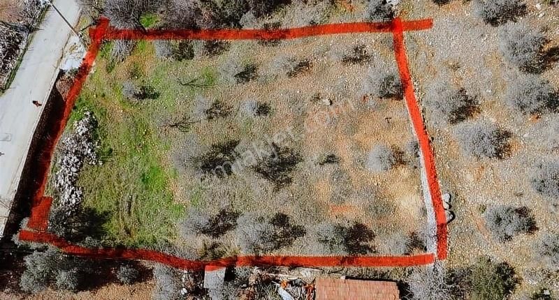 Menteşe Kuyucak Satılık Konut İmarlı Akyanın Gözdesi Kuyucak Mahallesinde 250 M2 İmarlı Arsa