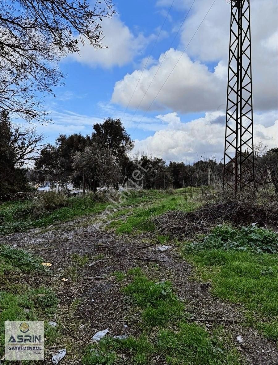 Kuşadası Kirazlı Satılık Tarla Kuşadası Kirazlı Köyünde Yolu Olan Tel İle Çevrili Satılık Bağ