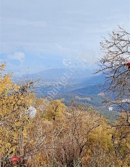 Bucak Çamlık Köyü (Narlı) Satılık Konut İmarlı Köy İçinde, Harika Manzaralı, Avlulu Kerpiç Ev, 2737m2 Arsa