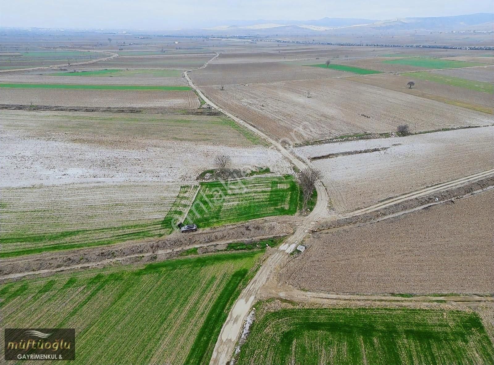 Yenişehir Ebeköy Satılık Tarla Bursa Yenişehir Ebeköy'de Satılık Tarla