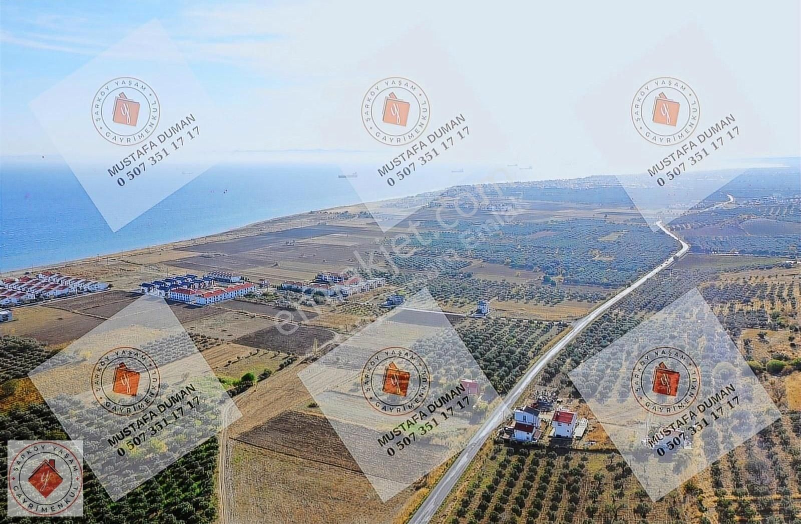 Şarköy Eriklice Satılık Zeytinlik Tekirdağ Şarköy Eriklice Mah 3.364 M2 Zeytinlik Satılık