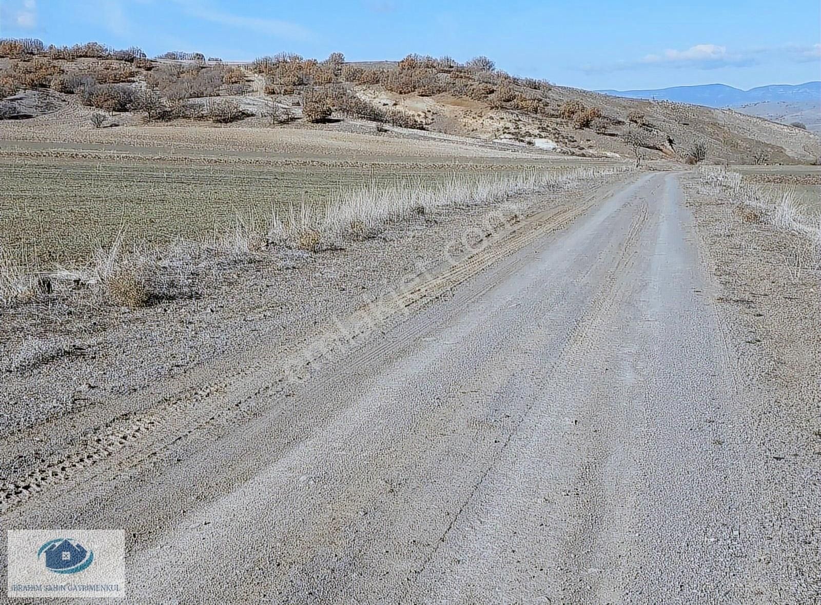 Kızılcahamam Pazar Satılık Tarla Ankara Kızılcahamam Pazar 'dasatılk Tektaputarla Asfalta 60metre