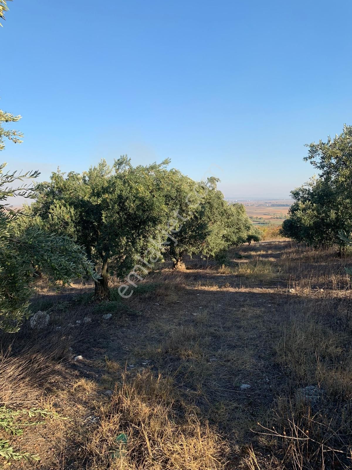 Karacabey İsmetpaşa Satılık Tarla Rt Yılmaz Gayrimenkulden Karacabey İsmet Paşada Satılık Tarla