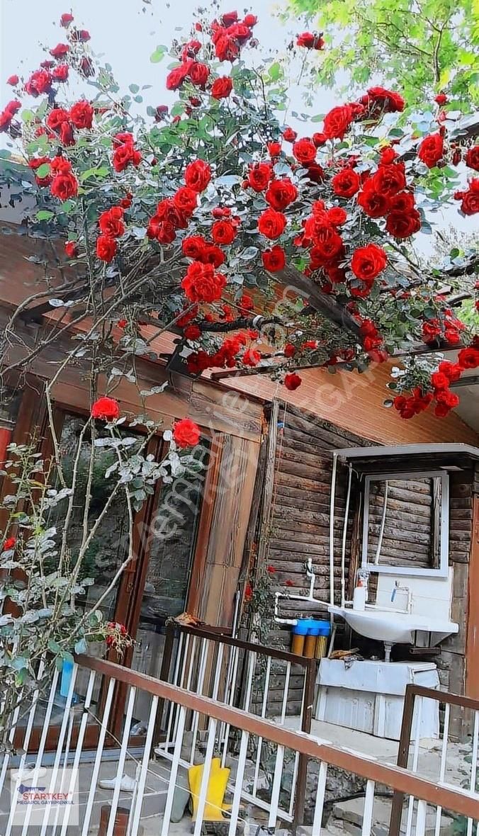 Bayındır Çınardibi Satılık Müstakil Ev İzmir Bayındır Çınardibinde Muhteşem Bir Yaşam...