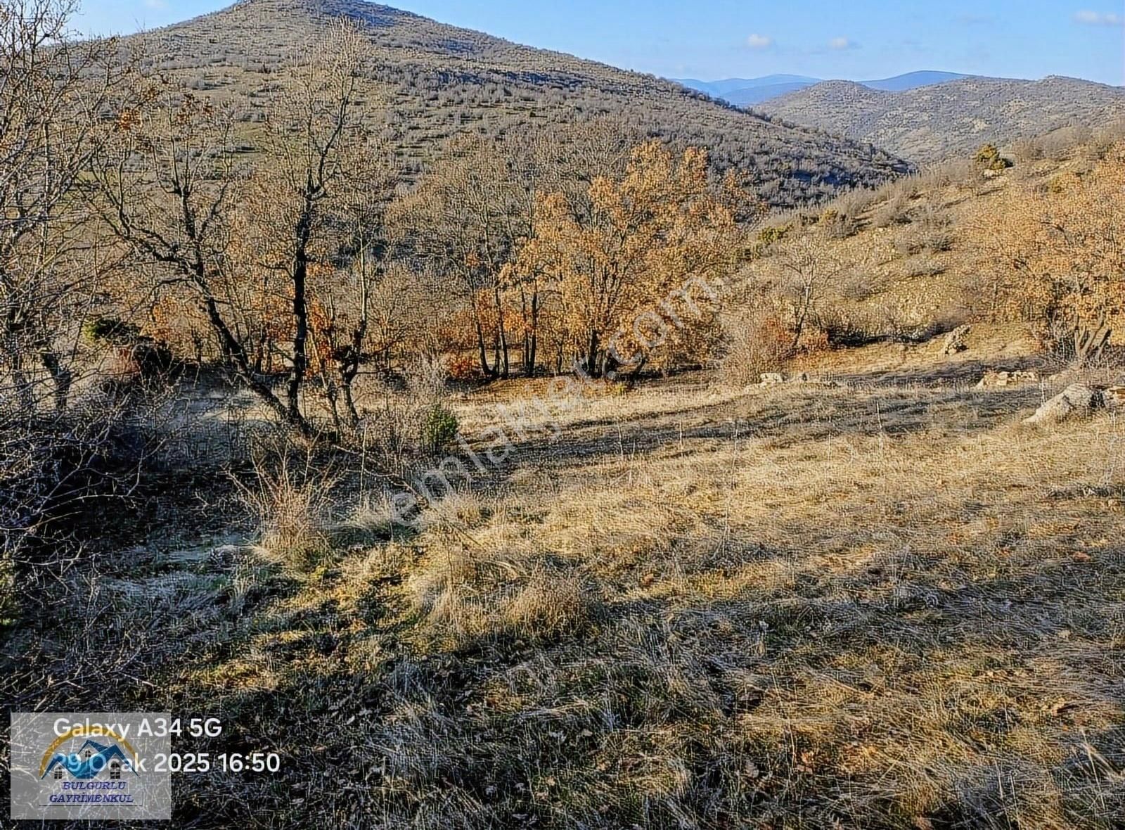 Dursunbey Taşpınar Satılık Tarla Dursunbey Kireç Taşkesiğinde Kadastro Yolu Olan Arazi